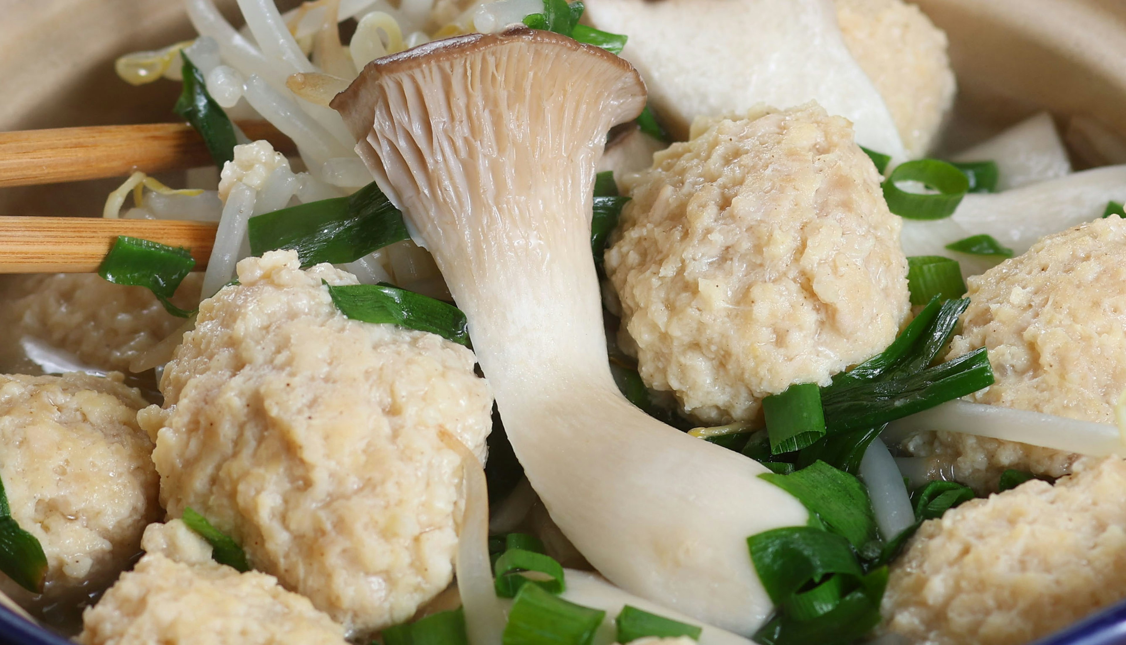 Bowl of meatballs and mushrooms garnished with green onions