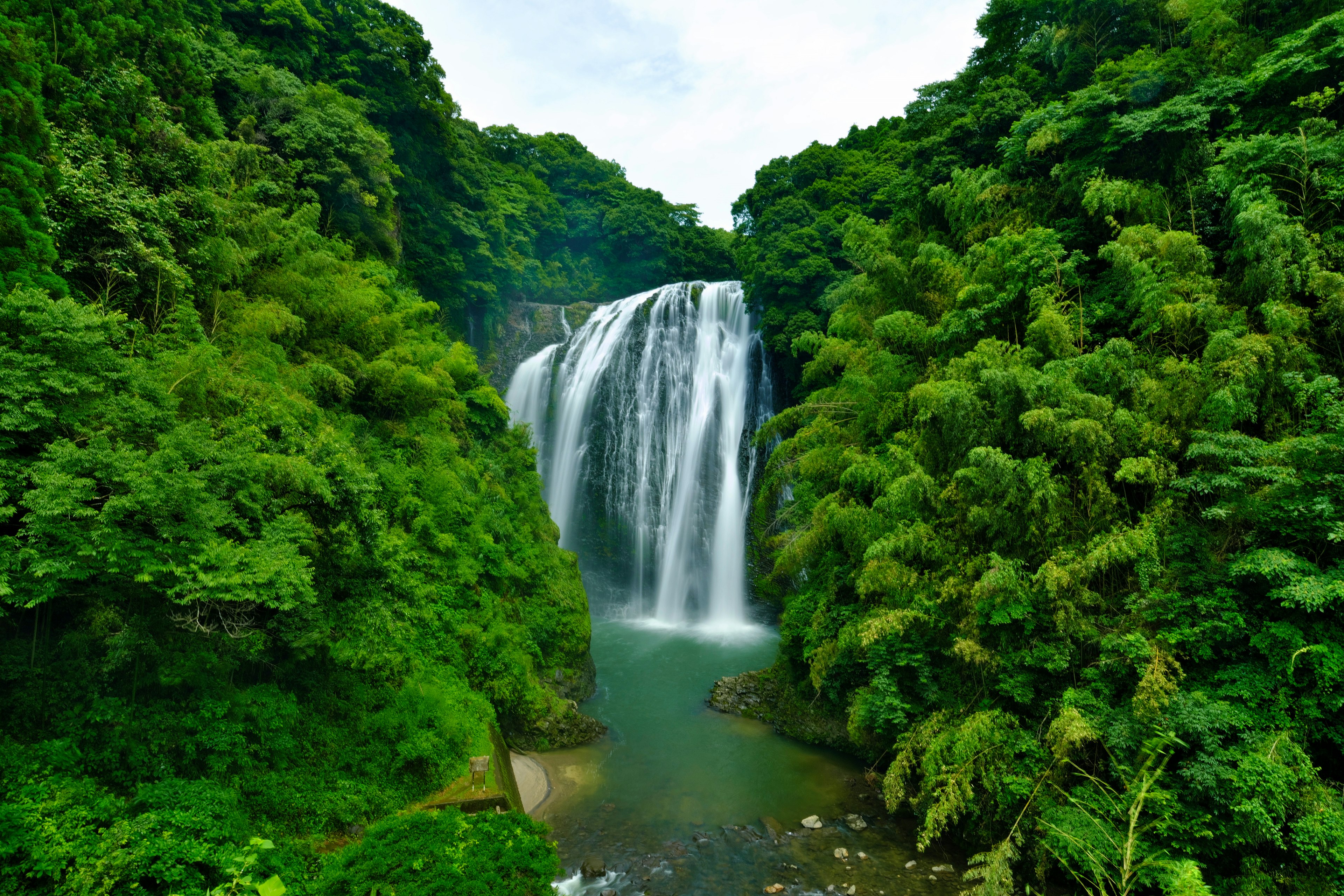 緑豊かな森に囲まれた滝の美しい風景