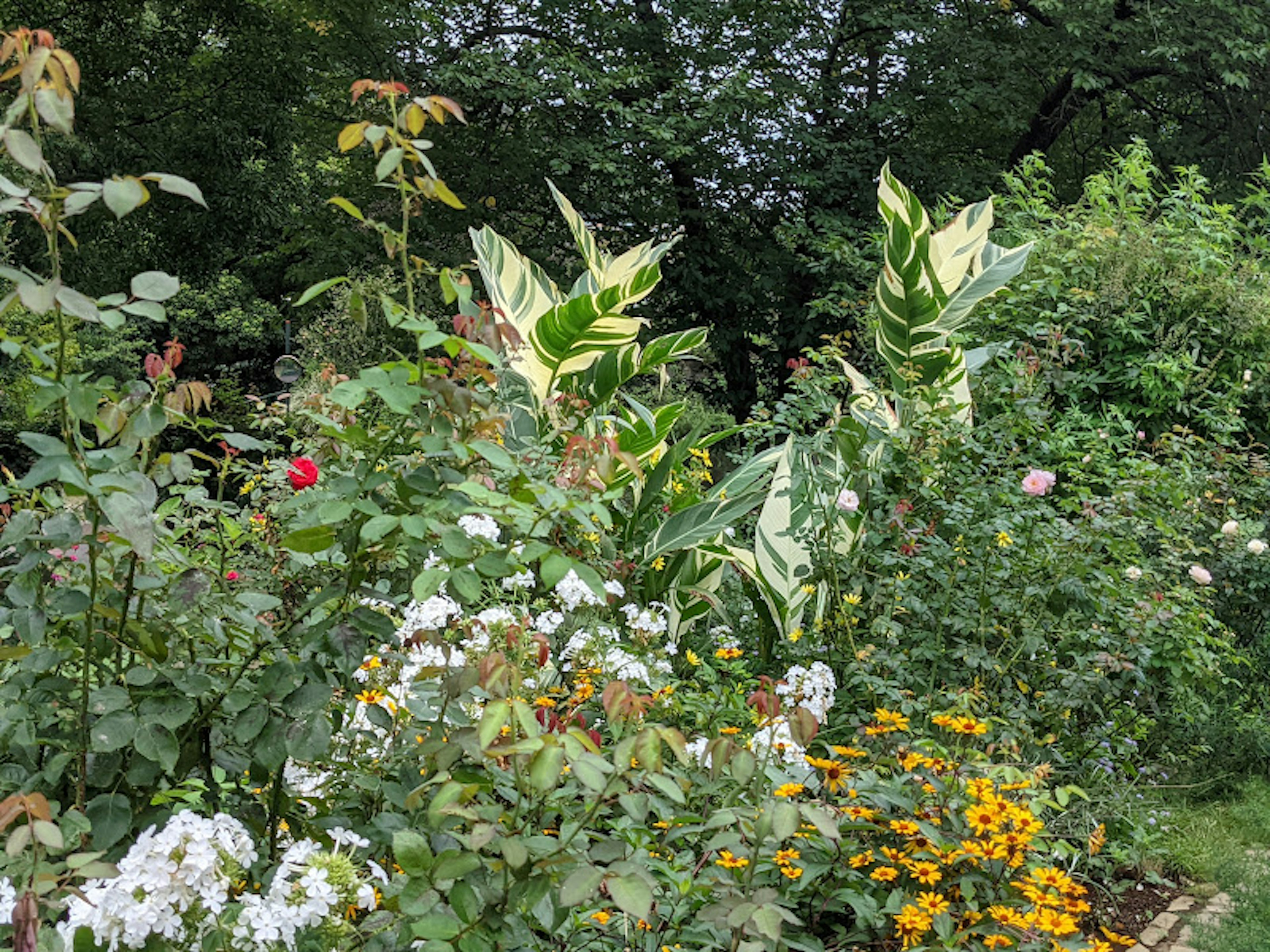 Lush garden with colorful flowers and foliage