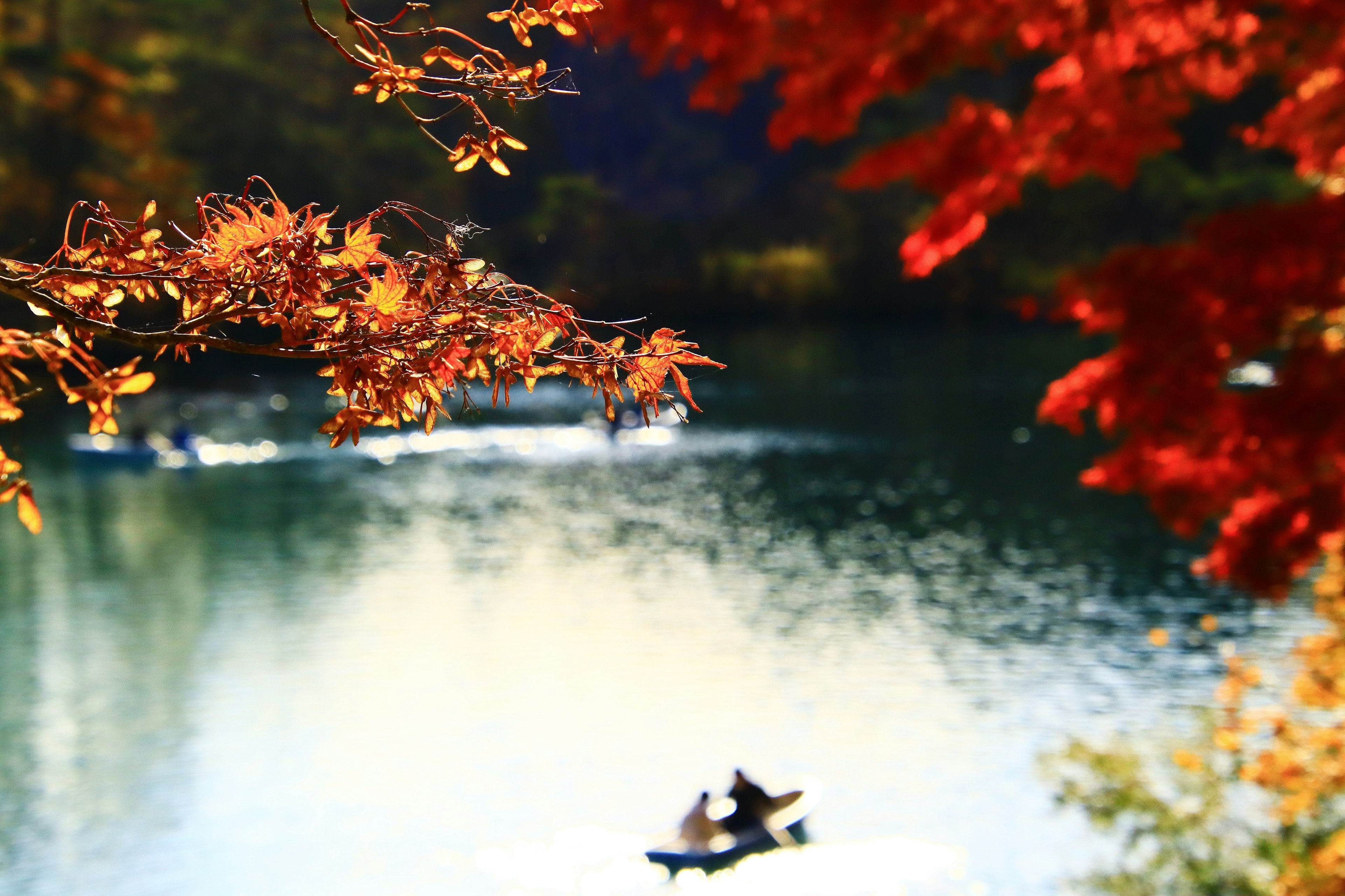 A serene lake landscape with autumn foliage and a small boat