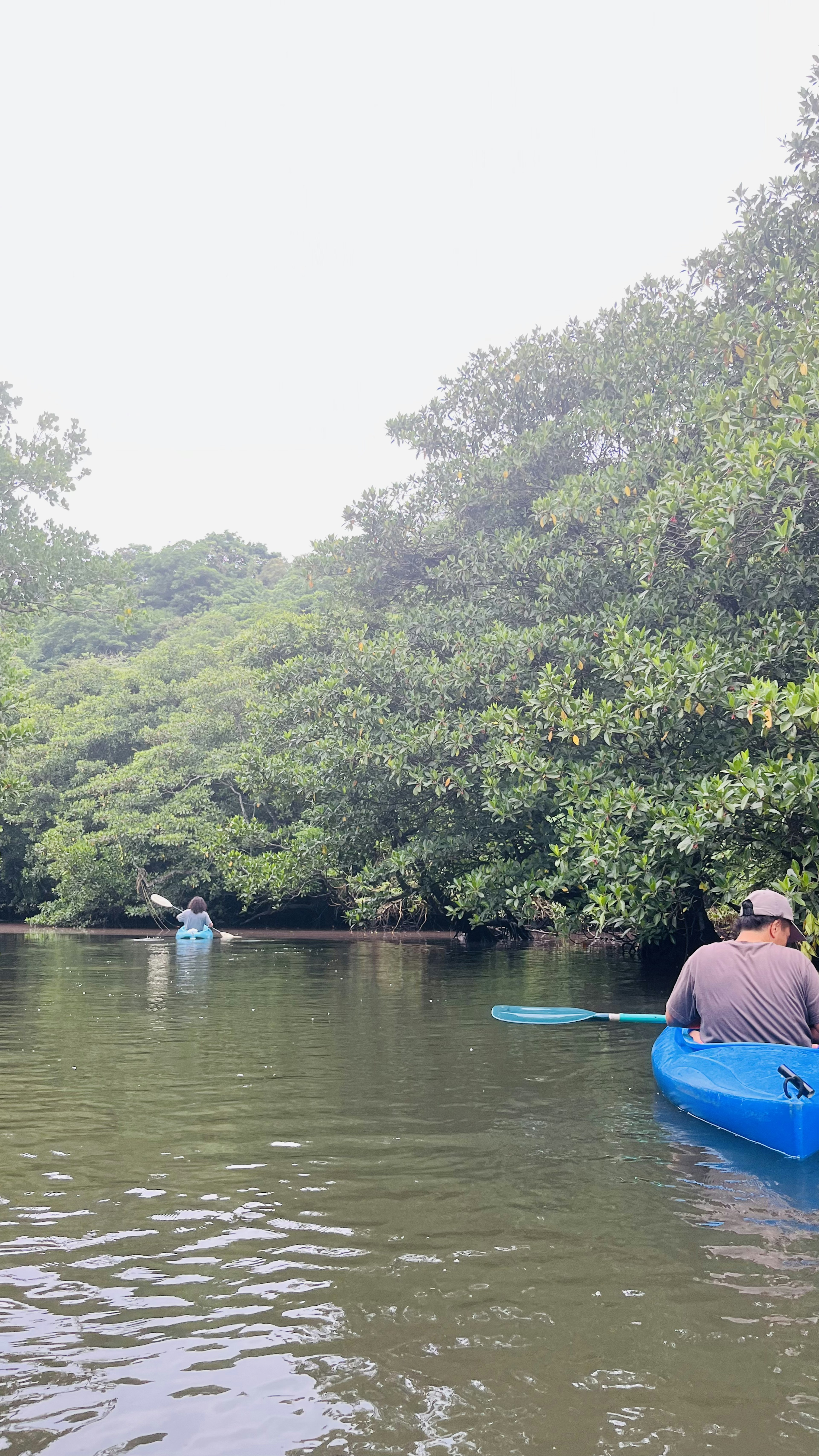 Personas en kayak en una vía fluvial verde rodeada de árboles