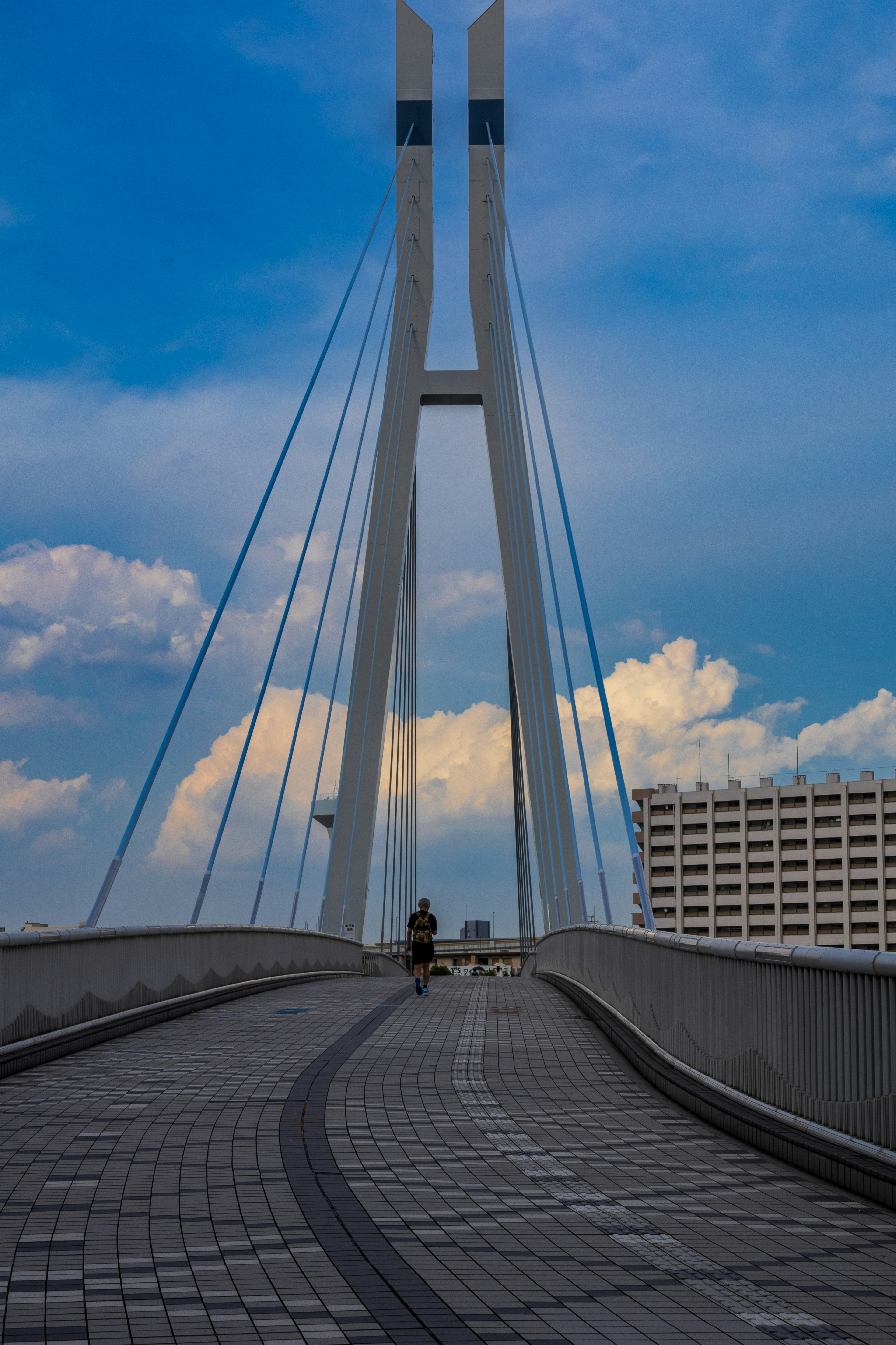 Vista di un ponte moderno con supporti a cavo bianchi contro un cielo blu e nuvole