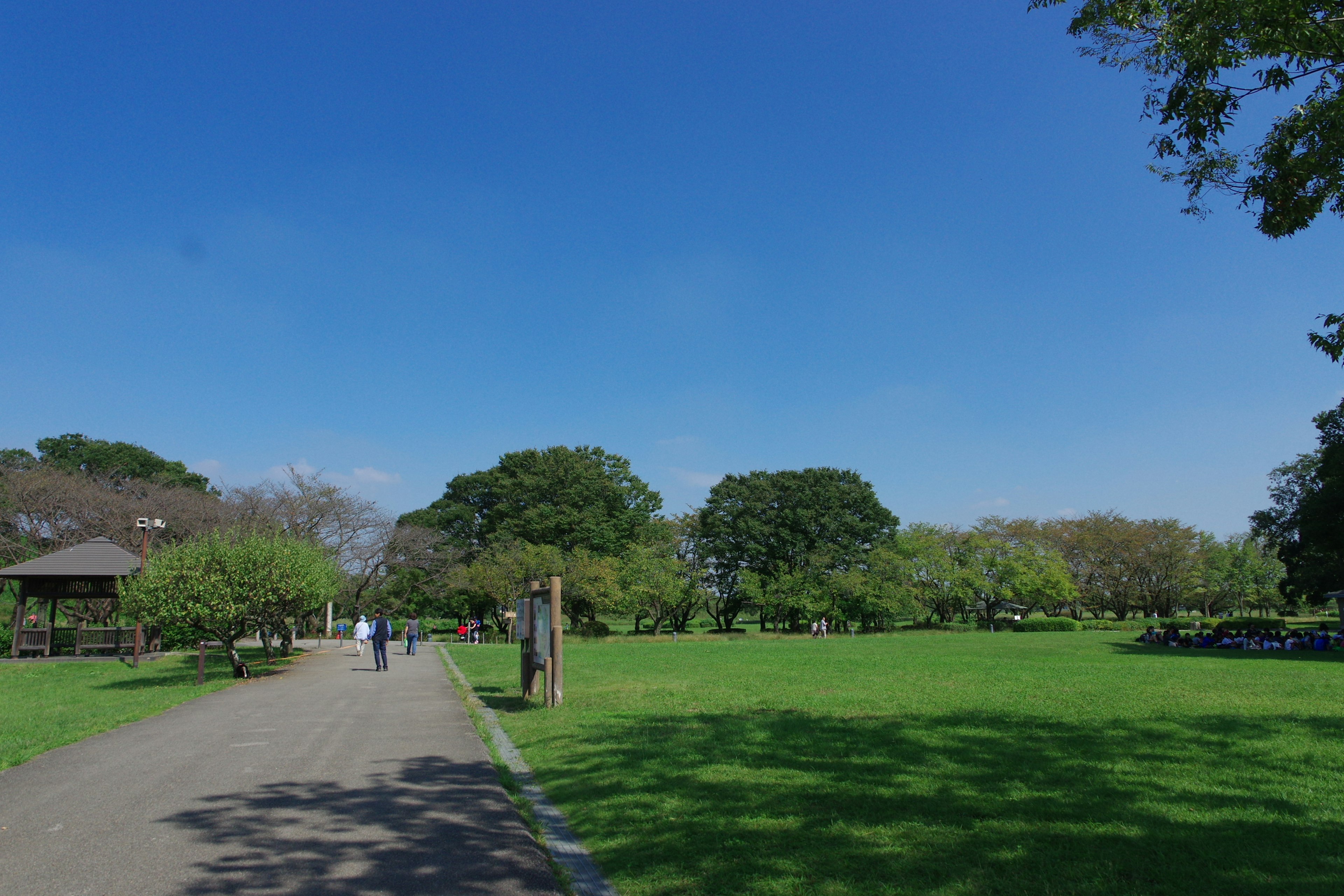 Un ampio parco sotto un cielo blu con persone che camminano Erba verde e alberi nel paesaggio