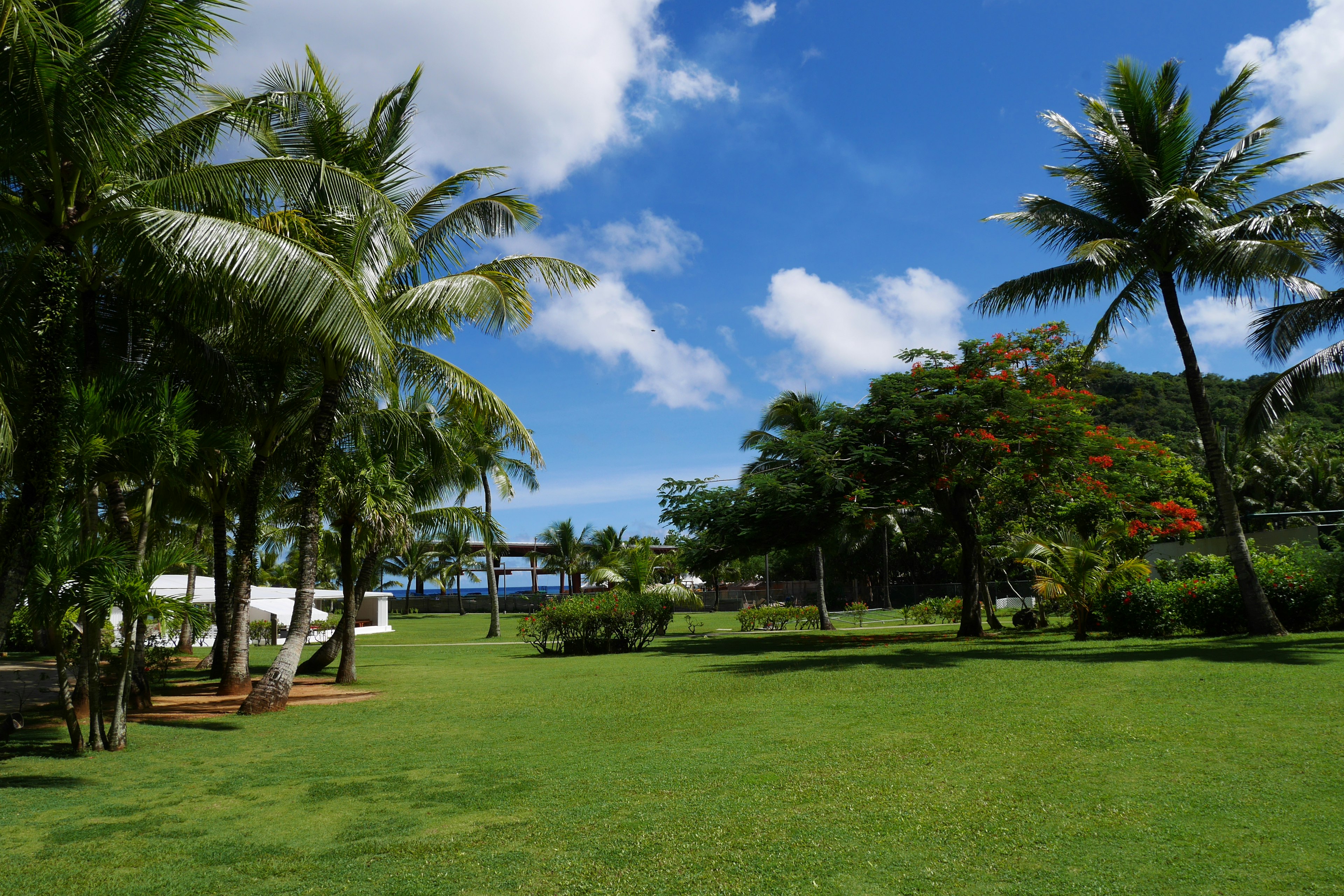 Lush green lawn with tropical plants under a blue sky and white clouds