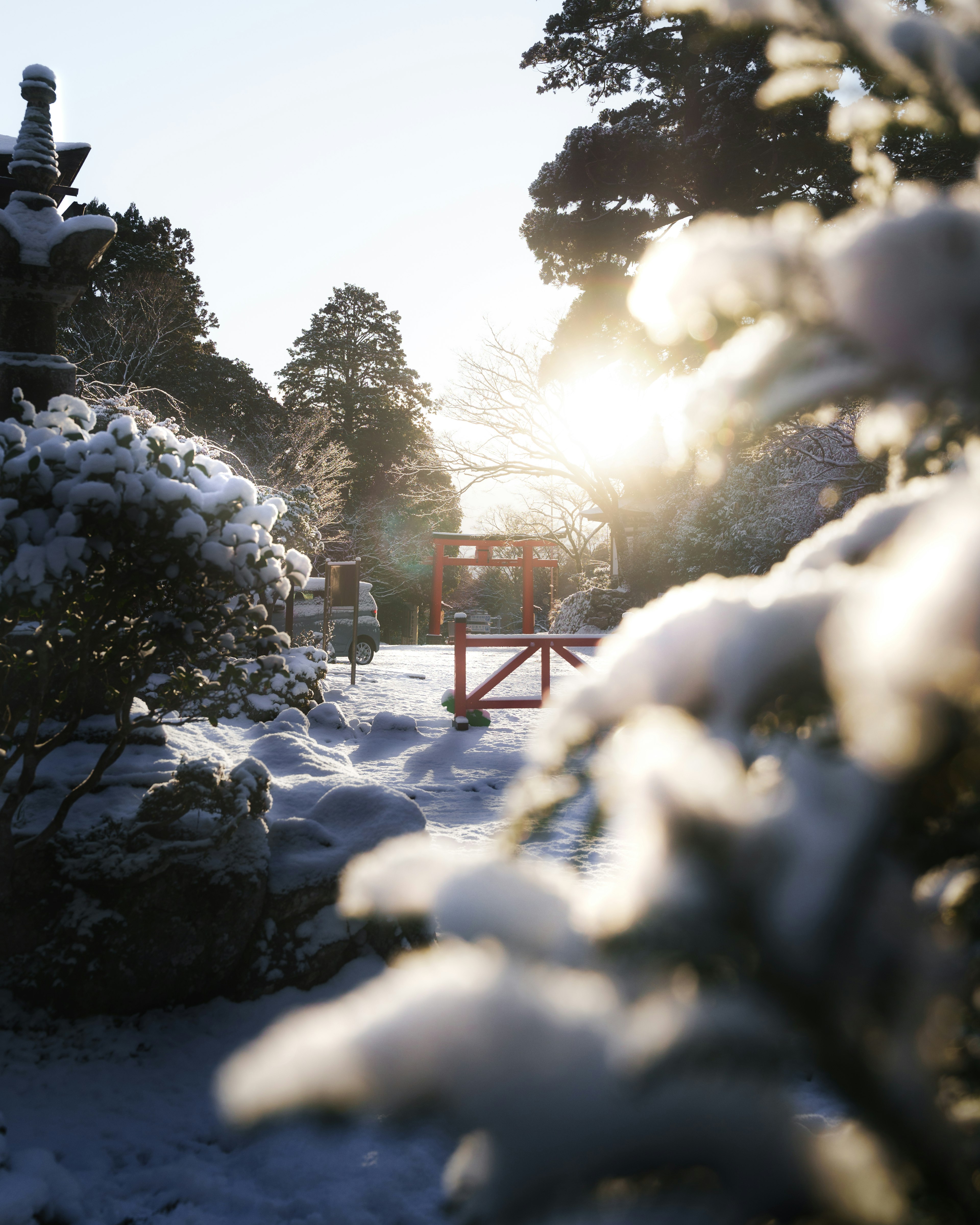 Scena di giardino innevato con un cancello rosso sullo sfondo