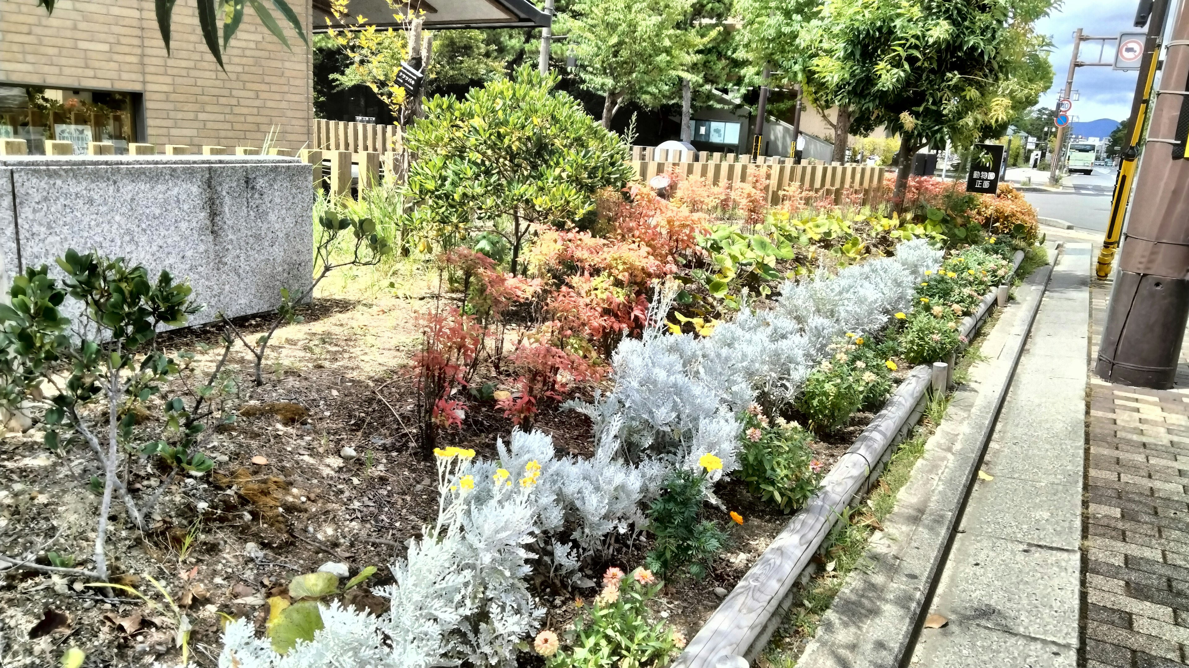 Üppiges Blumenbeet mit bunten Pflanzen entlang eines Weges