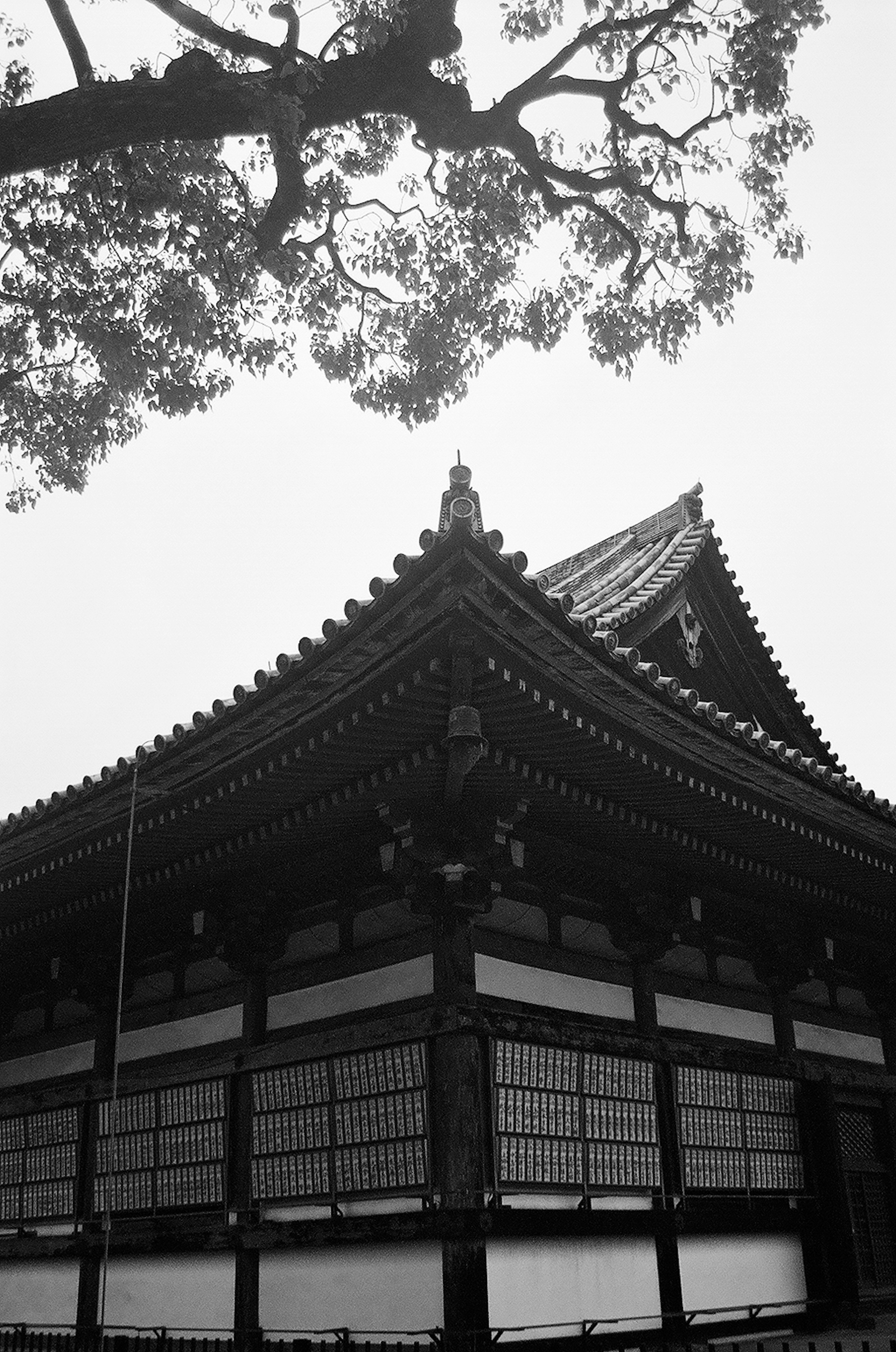 Foto en blanco y negro de un techo de edificio japonés tradicional y ramas de árbol