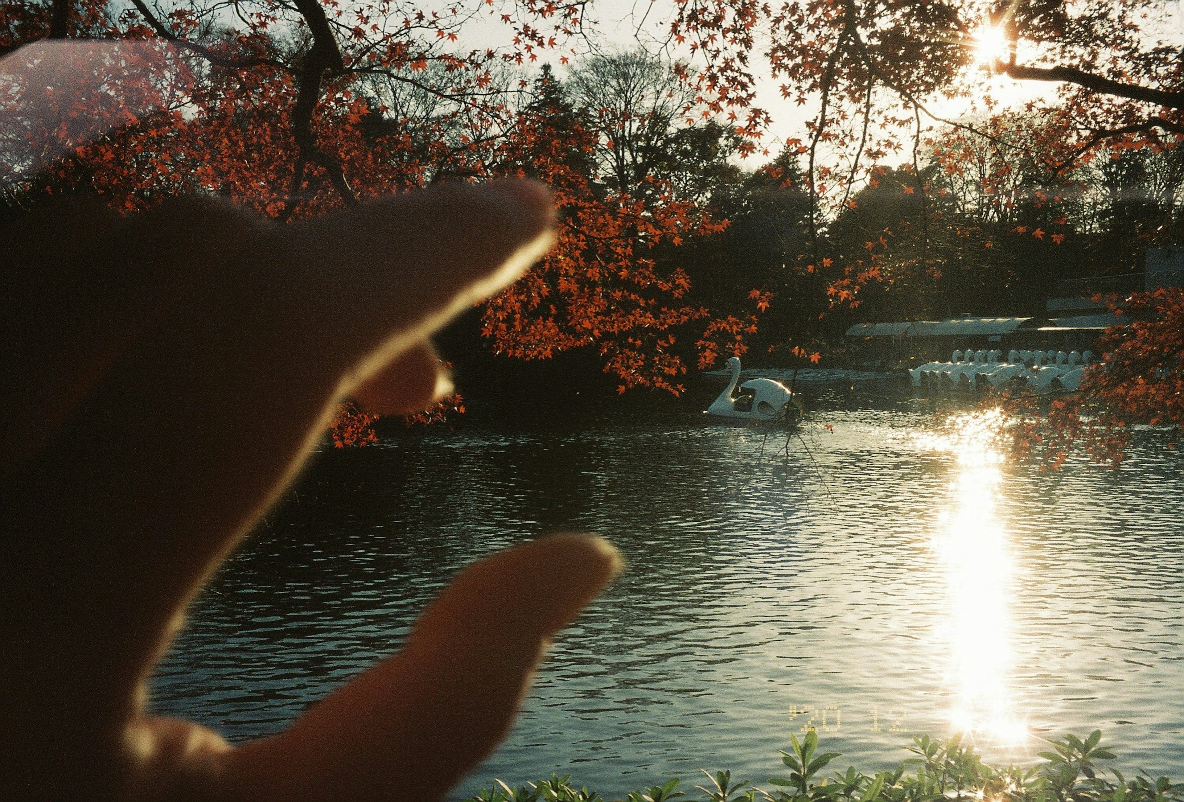 Hand, die sich einem See nähert, der den Sonnenuntergang spiegelt