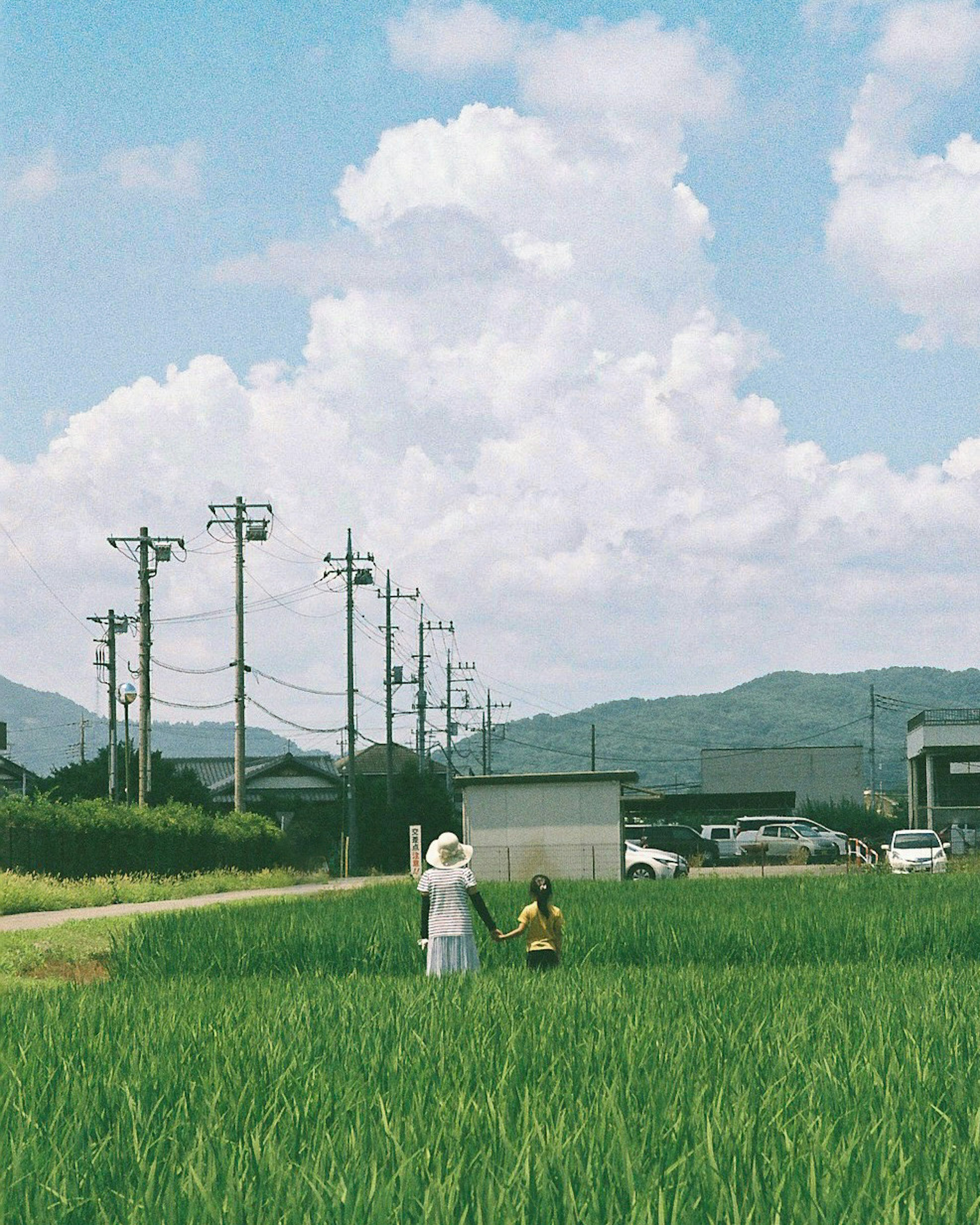 Two women standing in rice fields under a blue sky with white clouds