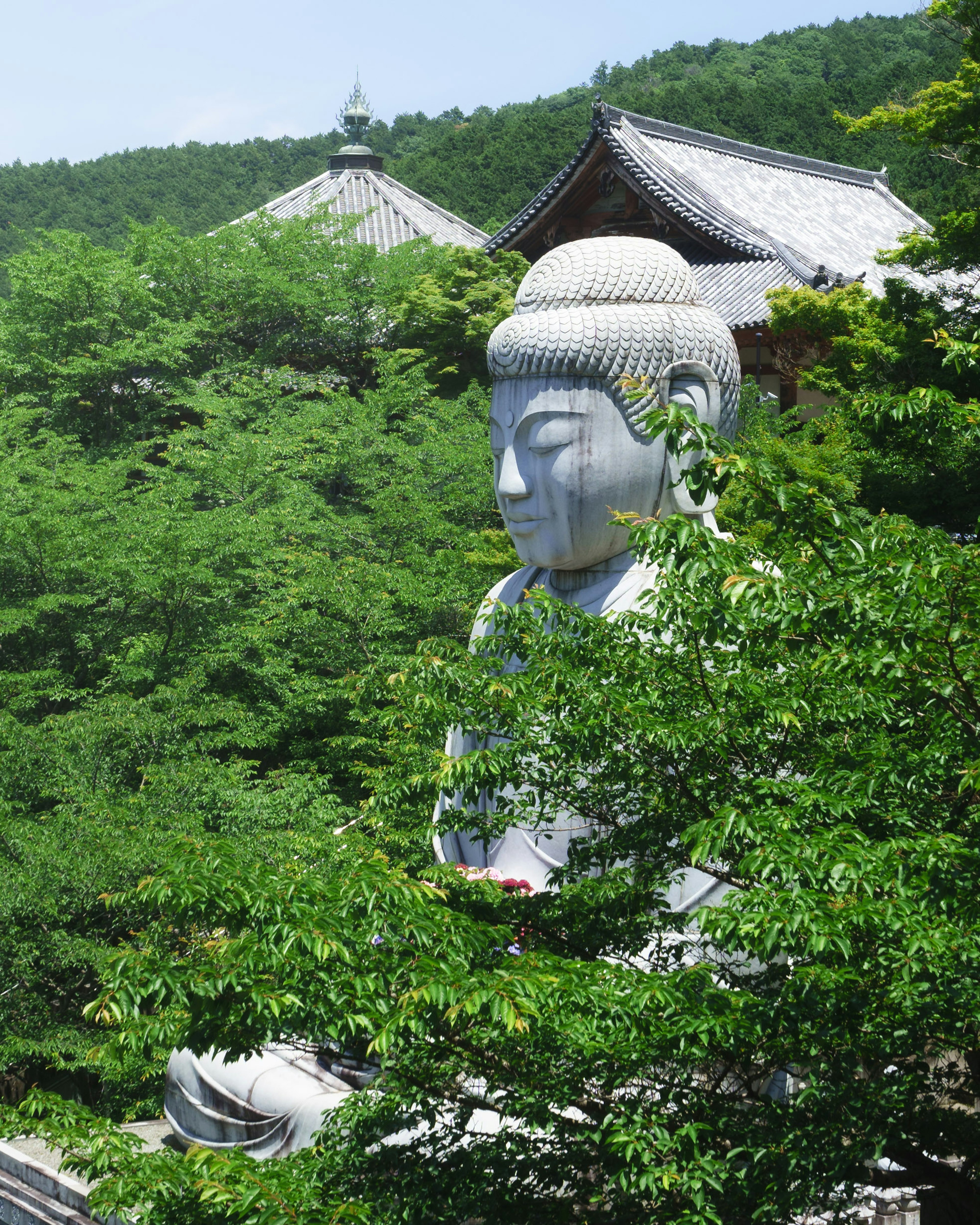 Large Buddha statue surrounded by green trees with traditional building in the background