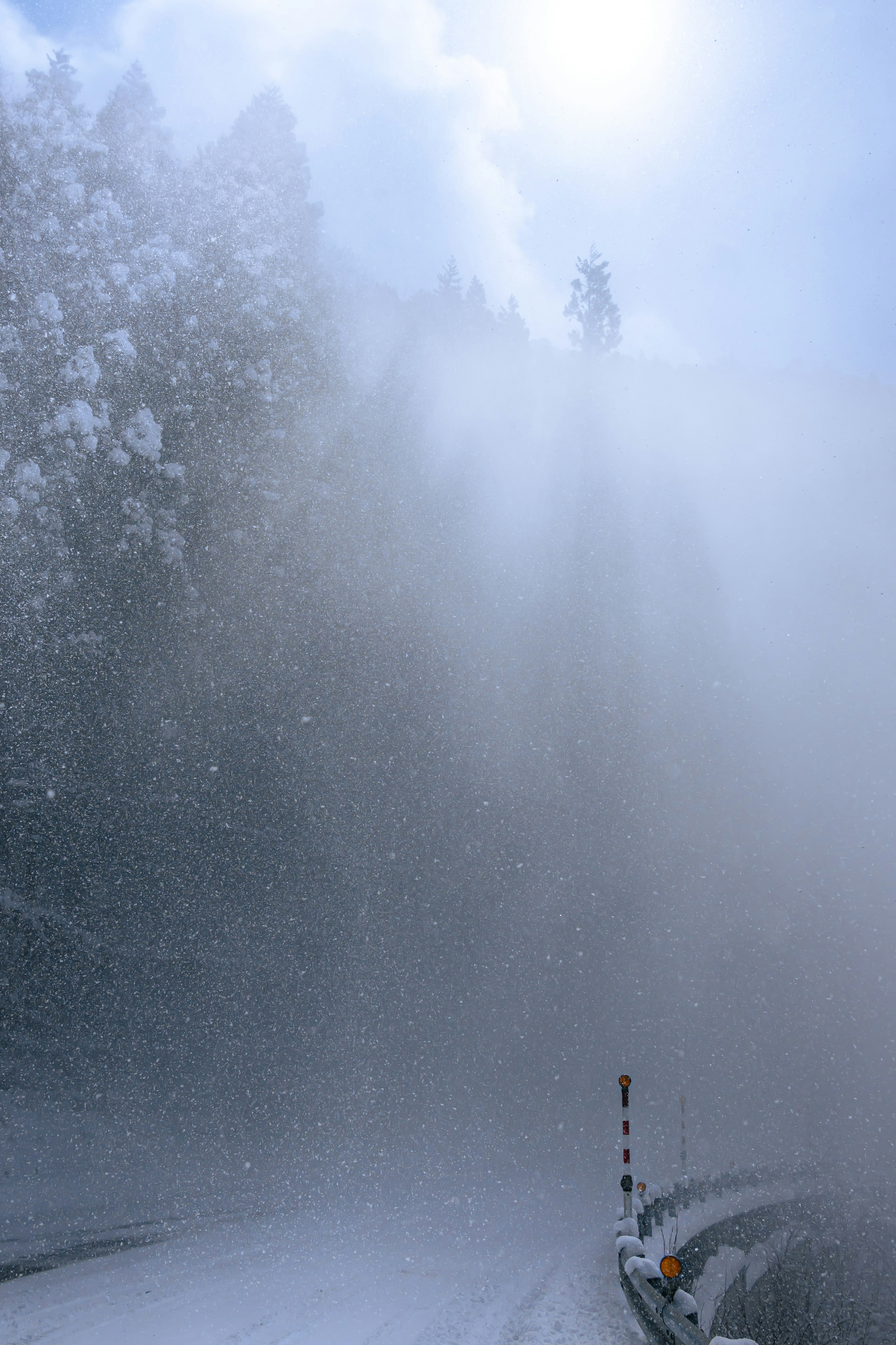 Foggy mountain road with silhouettes of trees