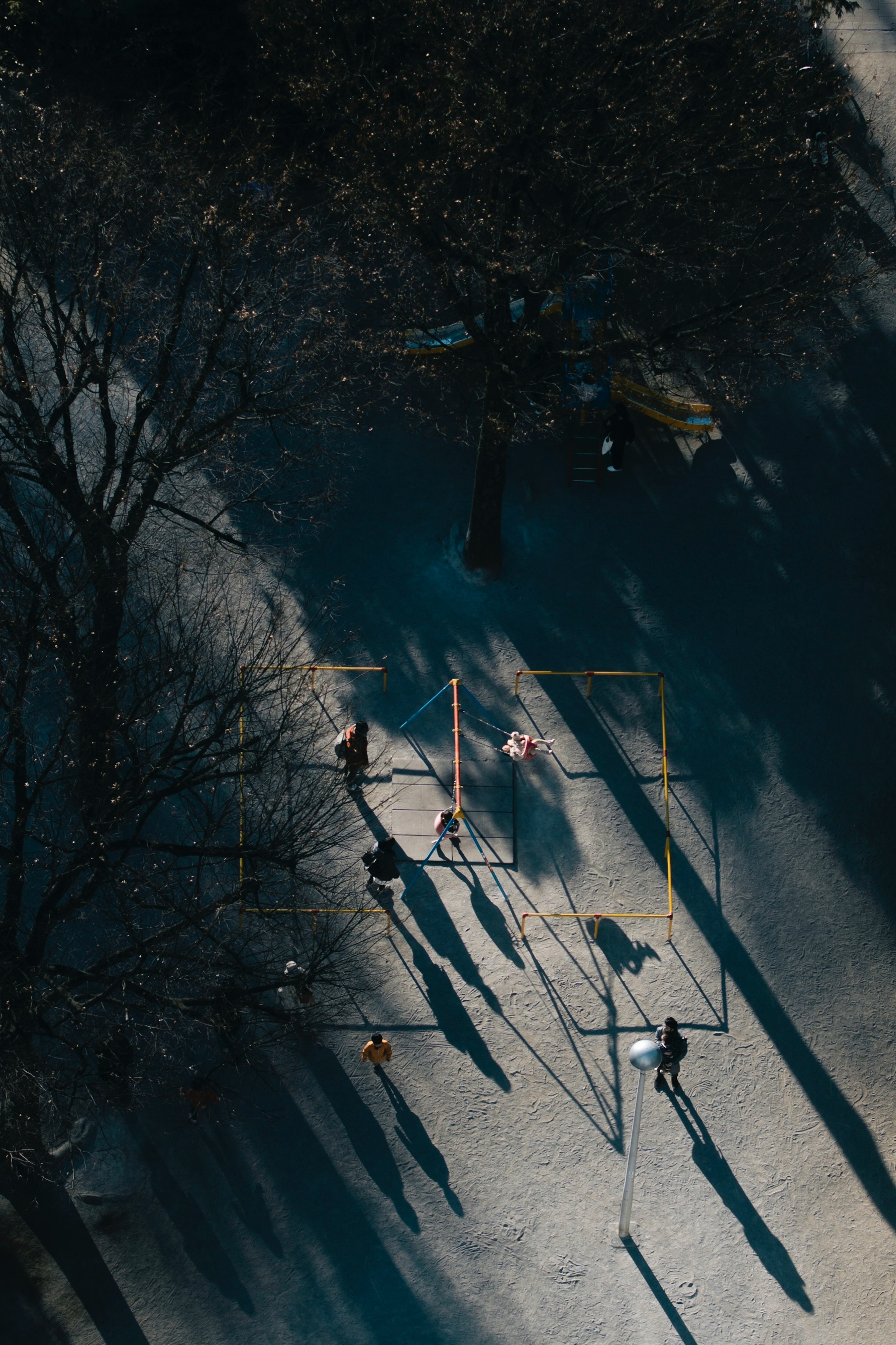 Aerial view of children playing in a park with long shadows