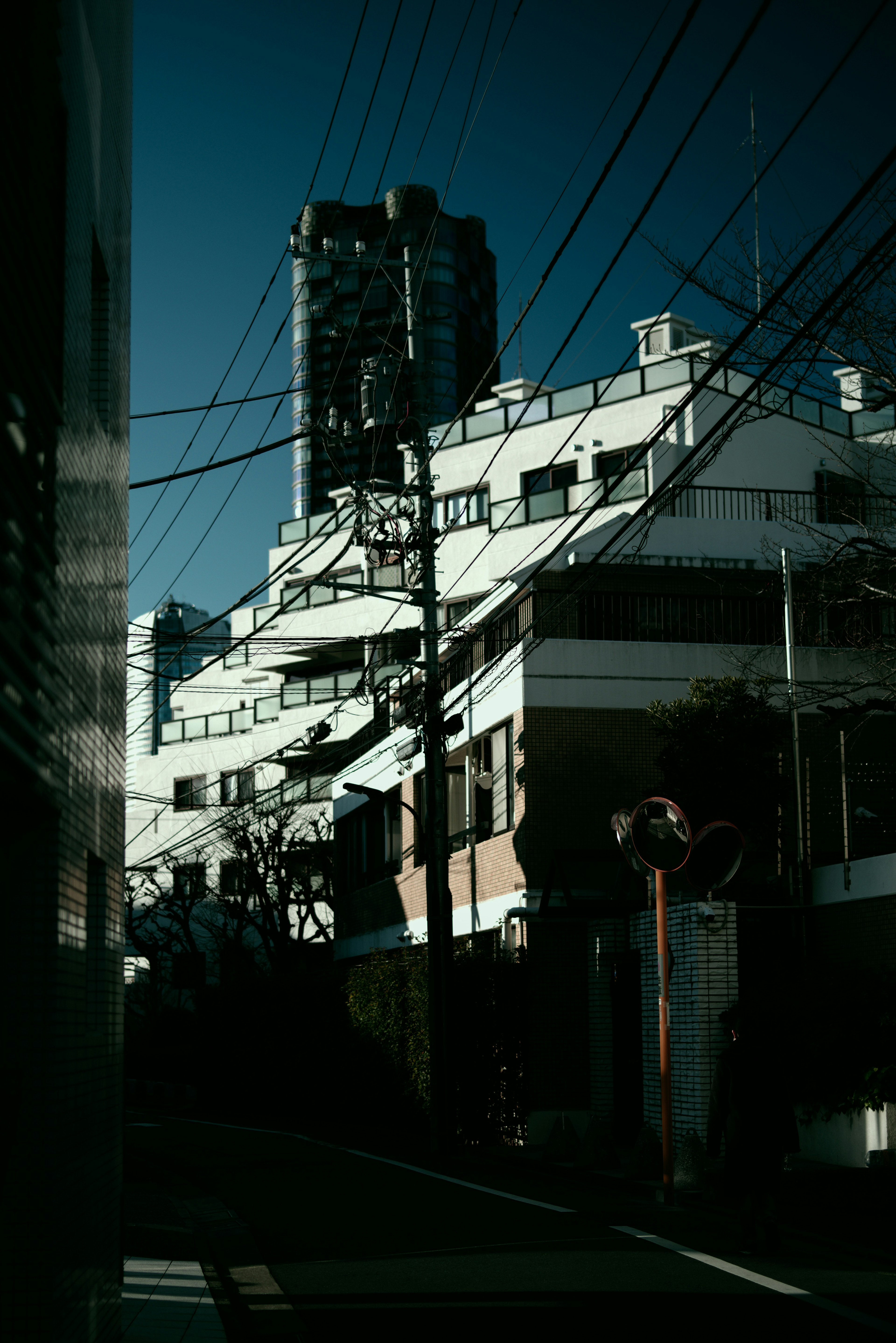 高層ビルと住宅のコントラストが印象的な街並みの写真