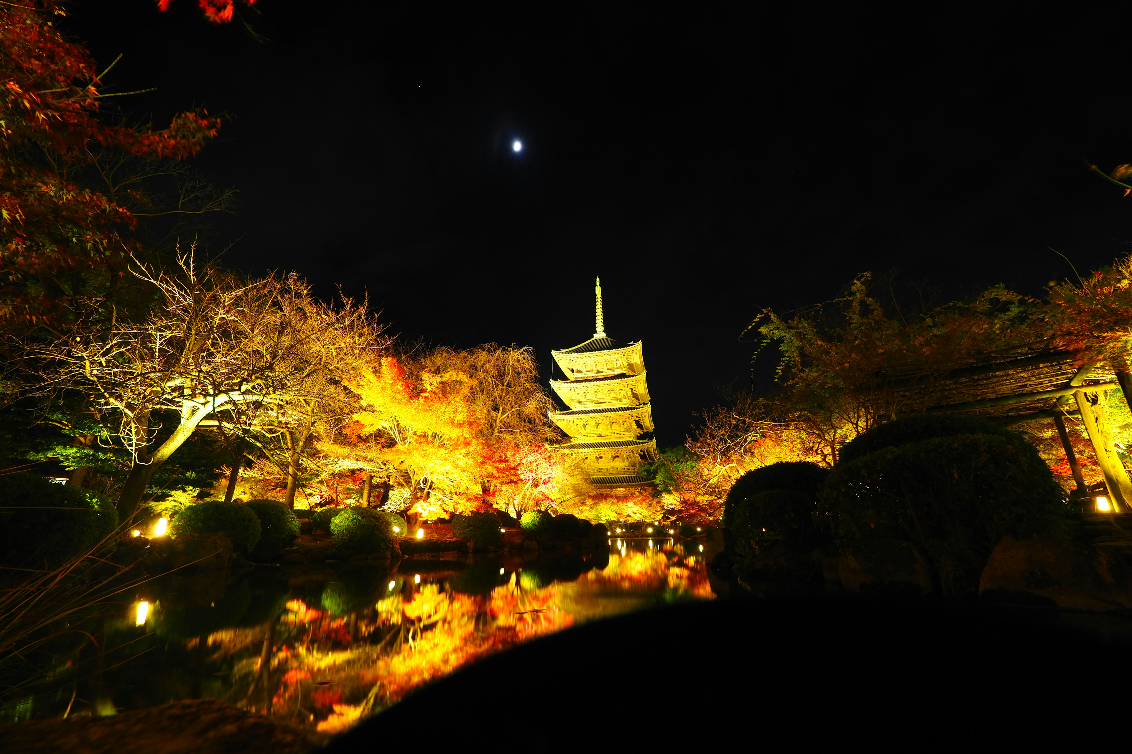 Pagoda iluminada y hojas de otoño por la noche