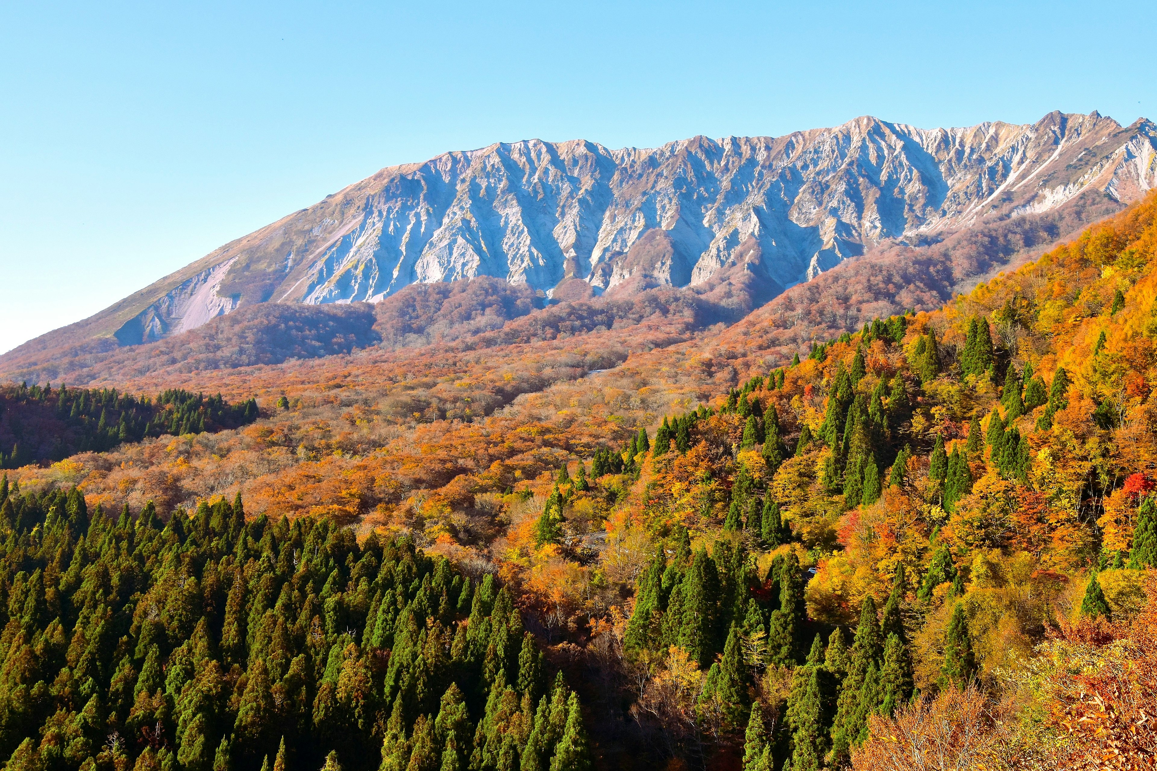 Vue panoramique des montagnes d'automne avec un feuillage vibrant et des forêts de conifères