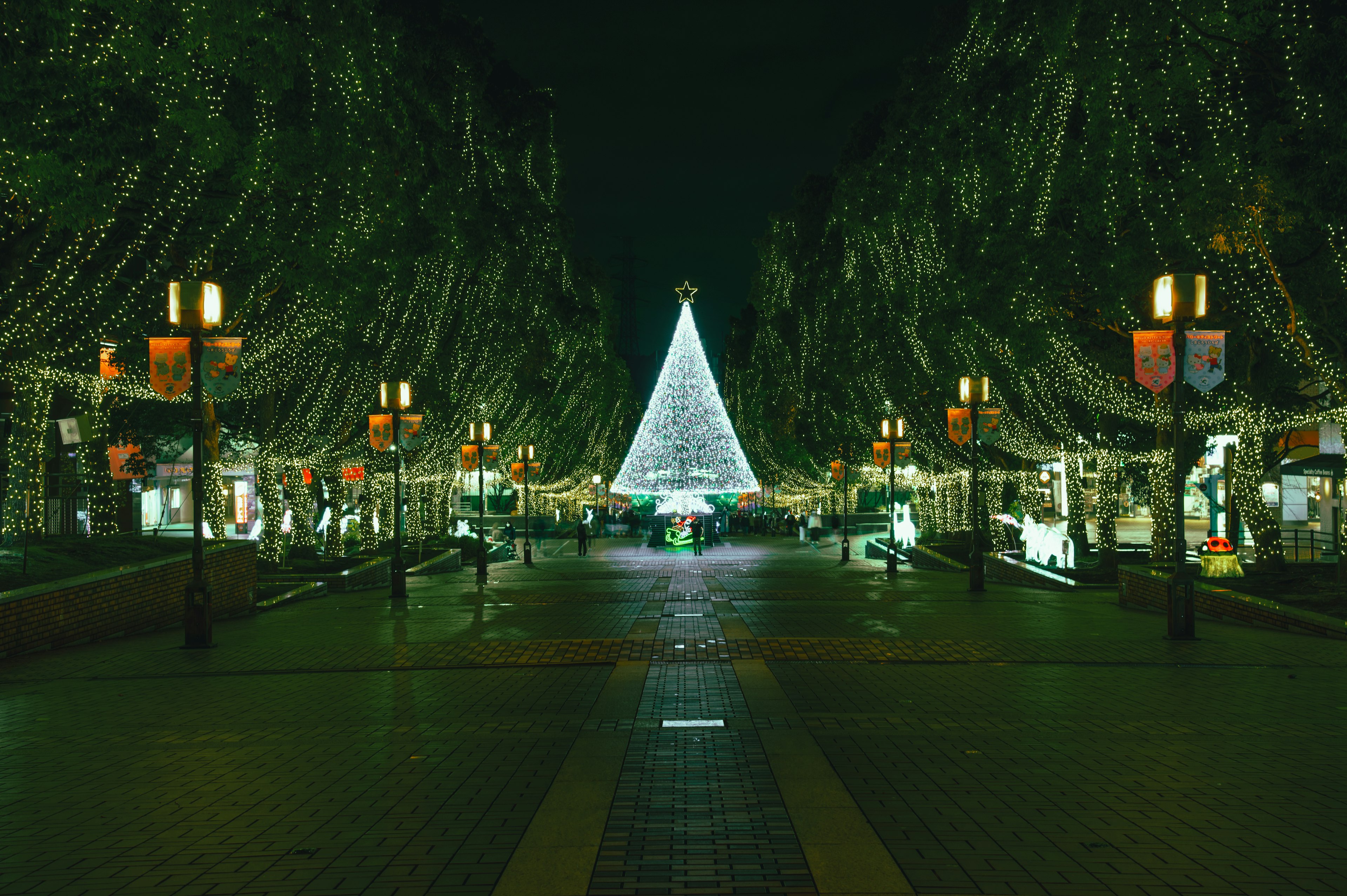 White Christmas tree in a nighttime street adorned with lights and lined with trees