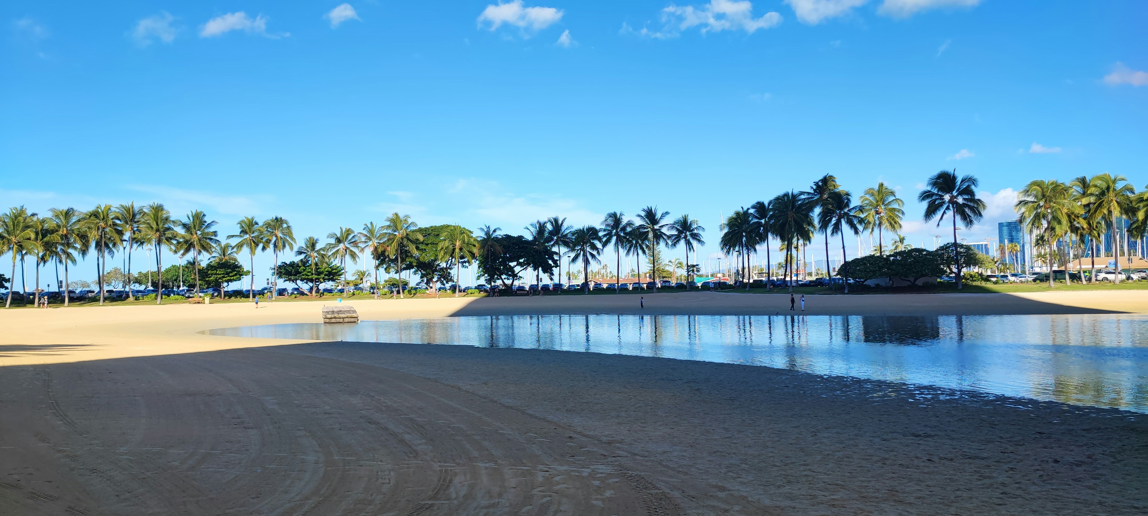 วิวชายหาดพร้อมต้นปาล์มและท้องฟ้าสีฟ้า