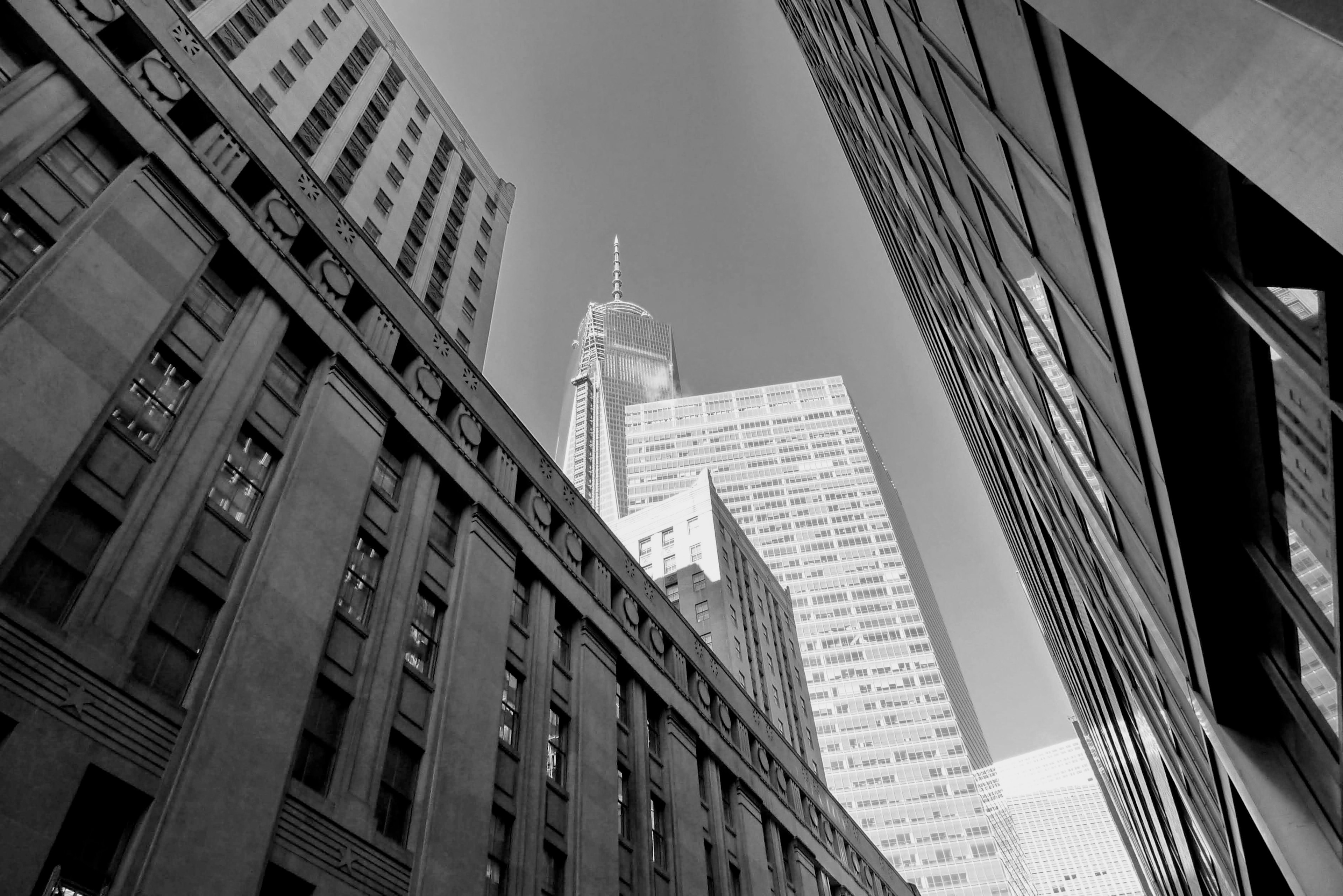 View of One World Trade Center through buildings in black and white