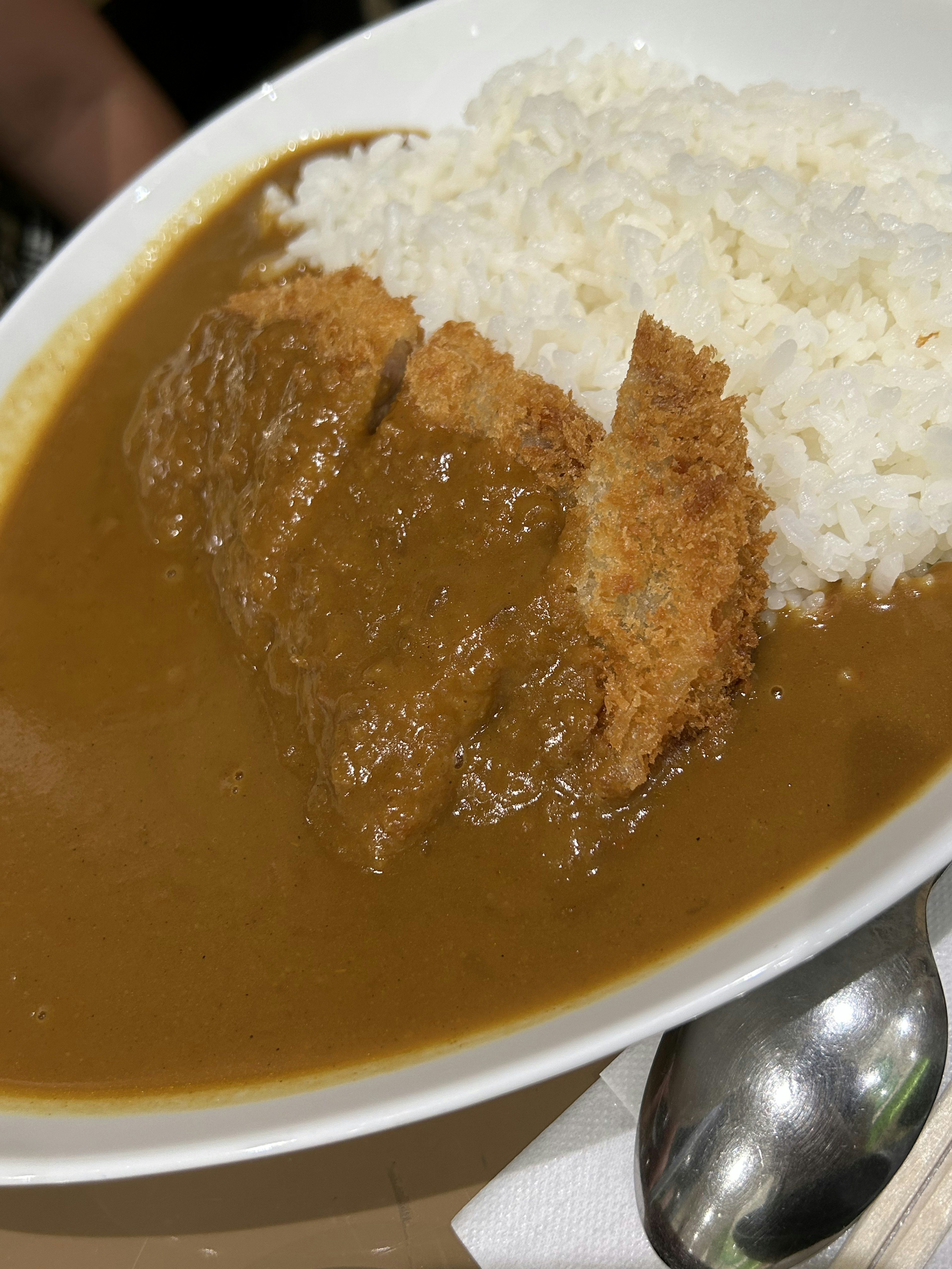 A plate of curry rice featuring breaded cutlet and fluffy white rice