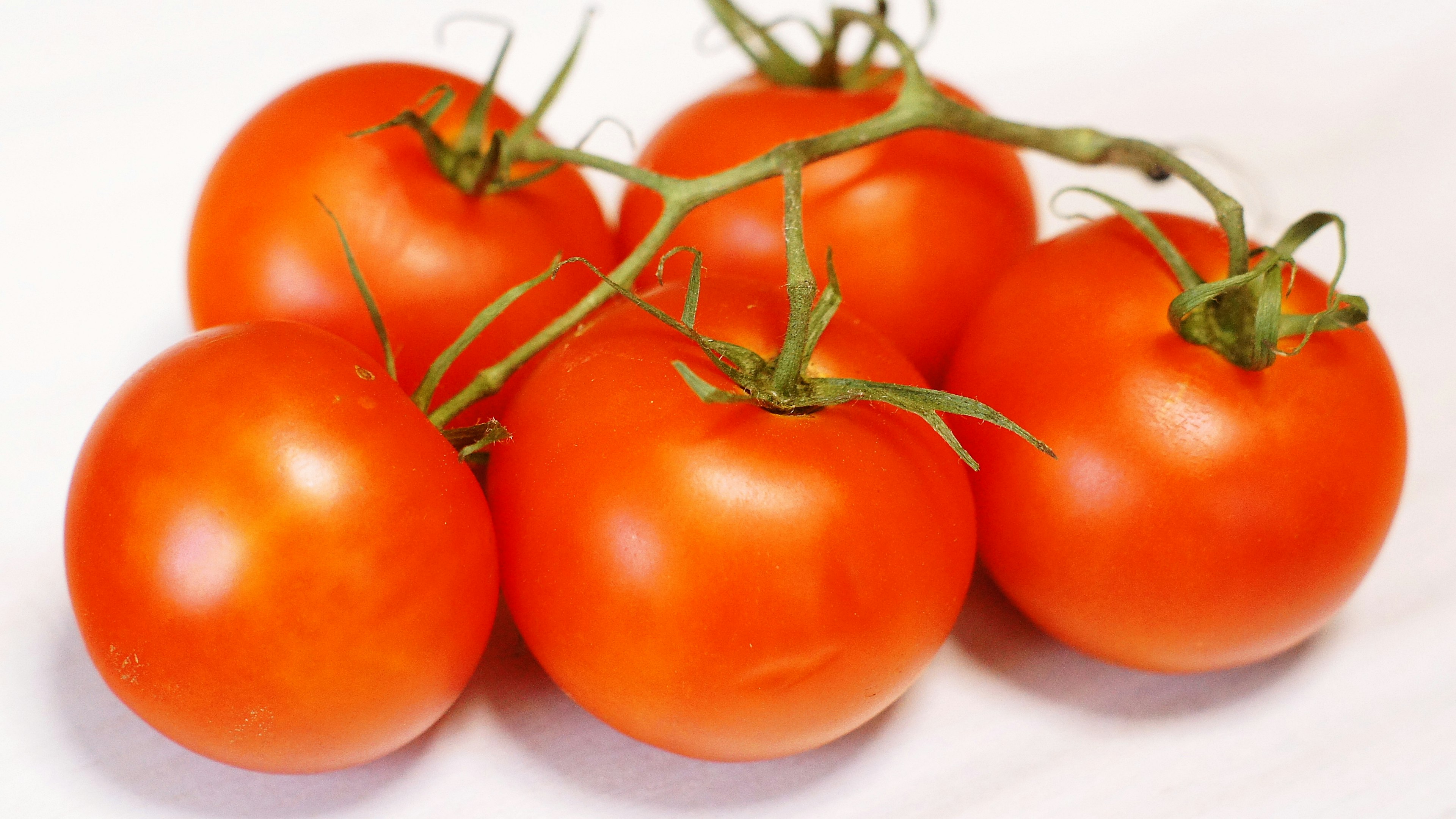 A cluster of fresh tomatoes on a white background