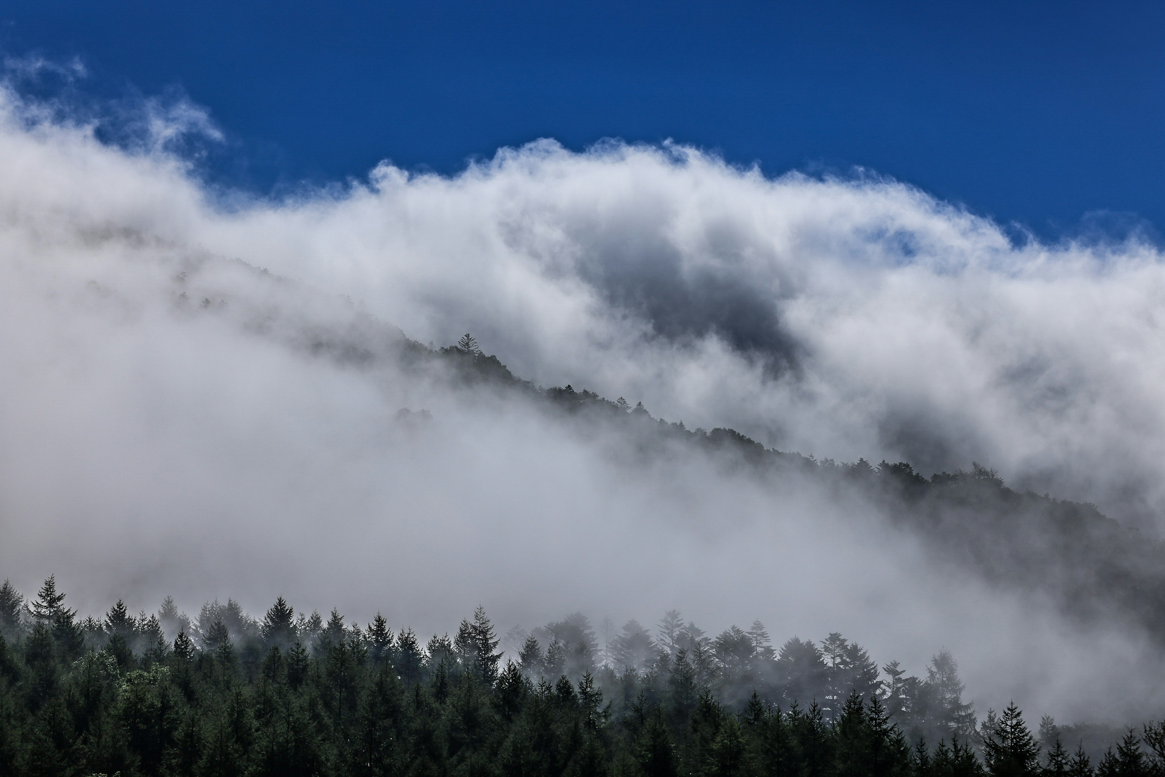 青空と霧に包まれた山の風景