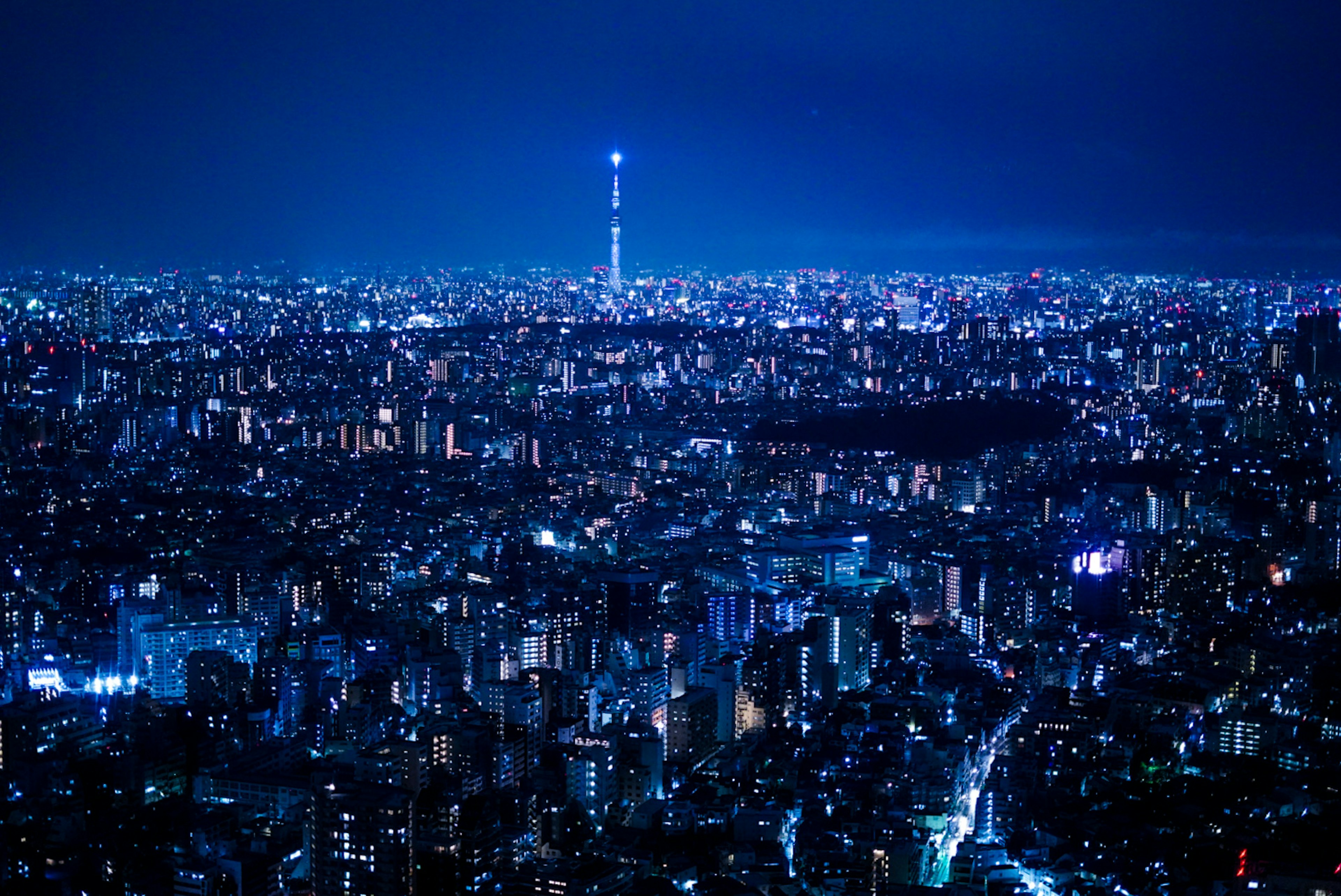 東京の夜景と東京スカイツリーが見える美しい風景