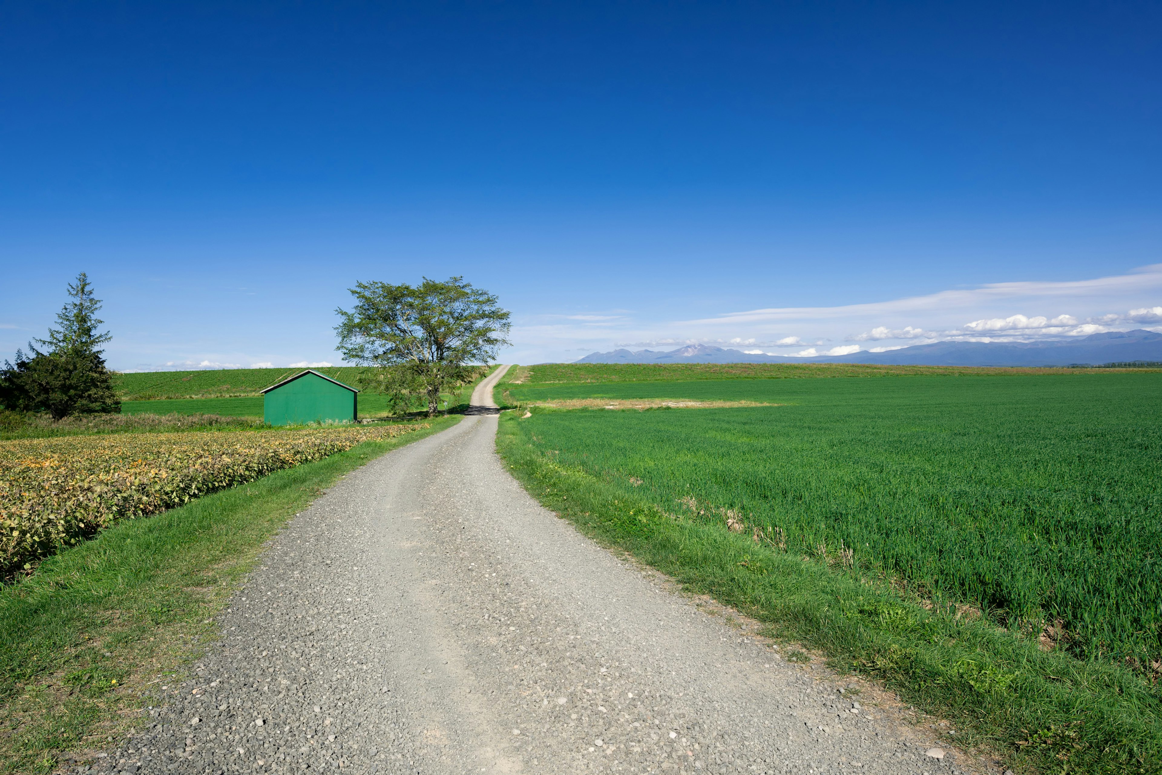 Malersicher Blick auf einen gewundenen Schotterweg mit grünen Feldern und blauem Himmel