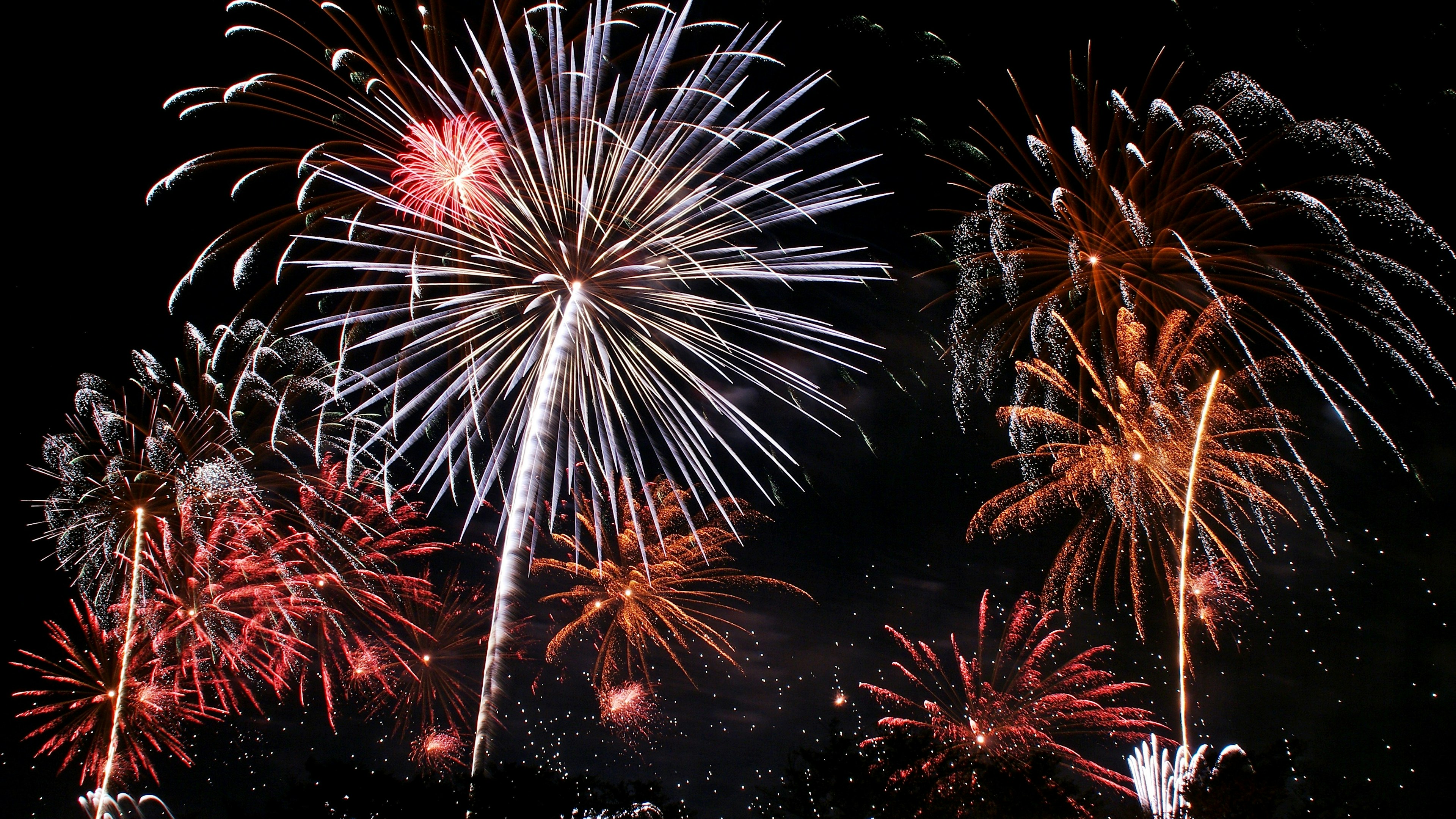 Colorful fireworks display in the night sky