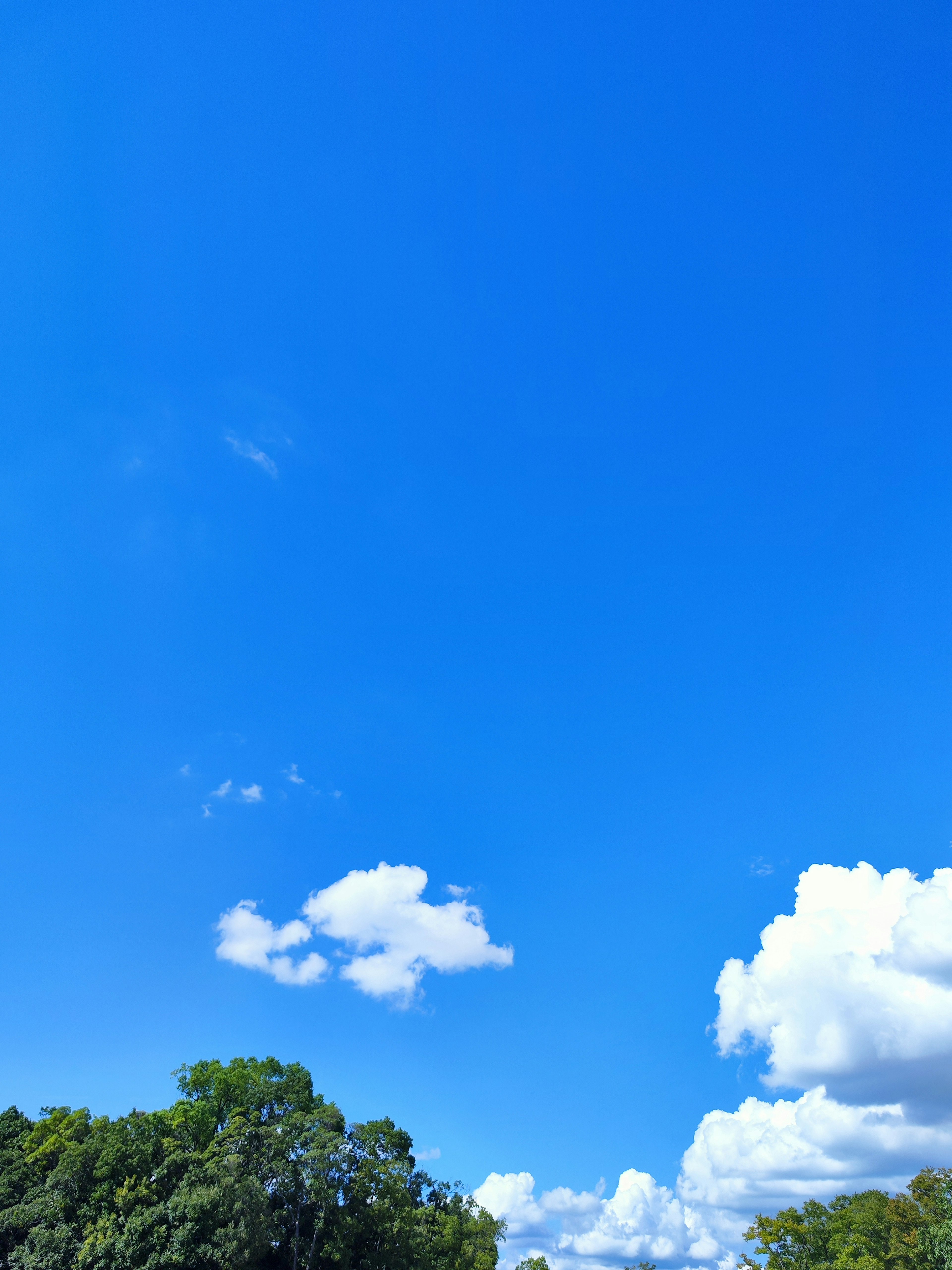 Cielo azul brillante con nubes blancas esponjosas