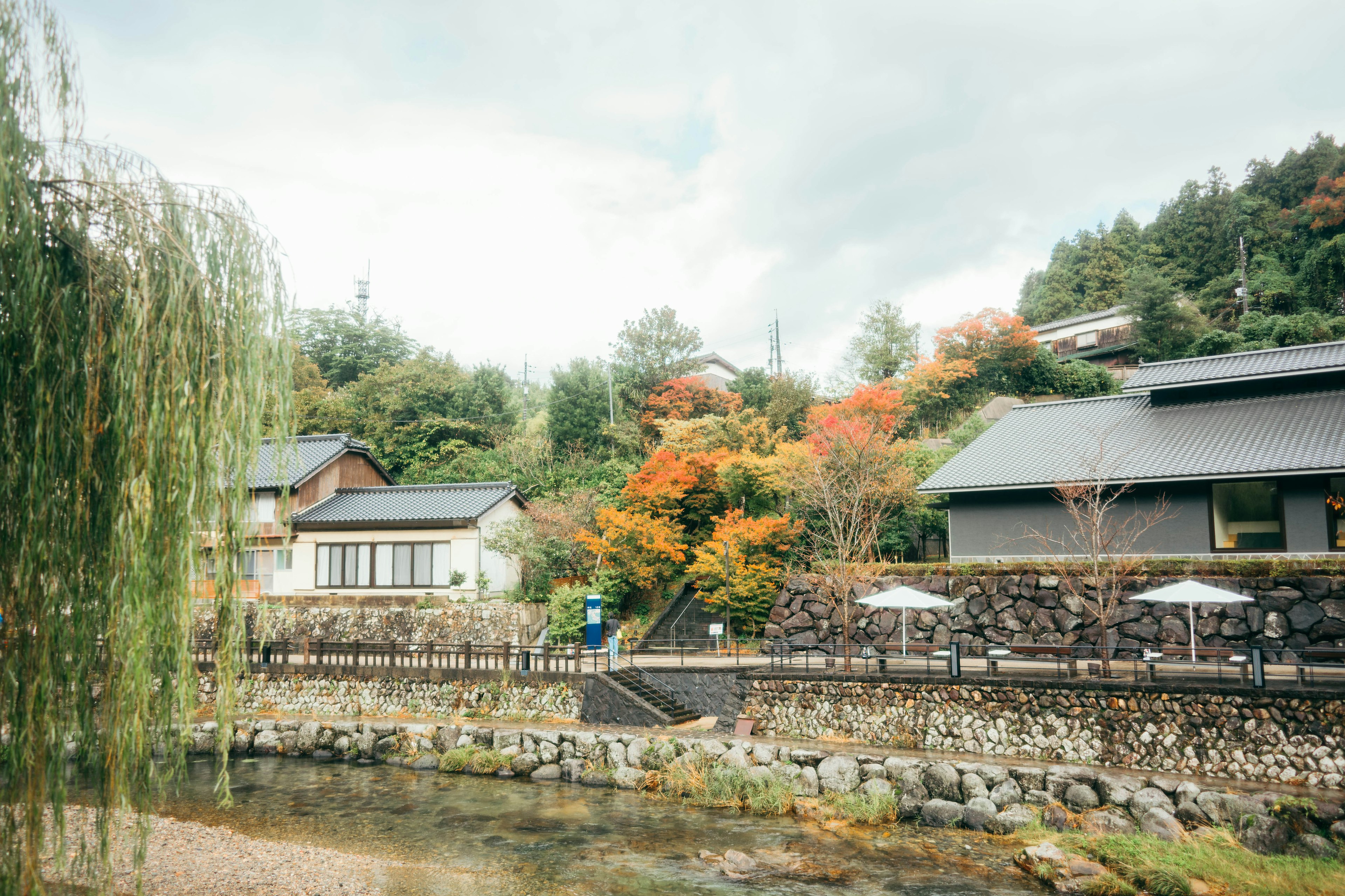 Japanese houses along a tranquil river with autumn foliage