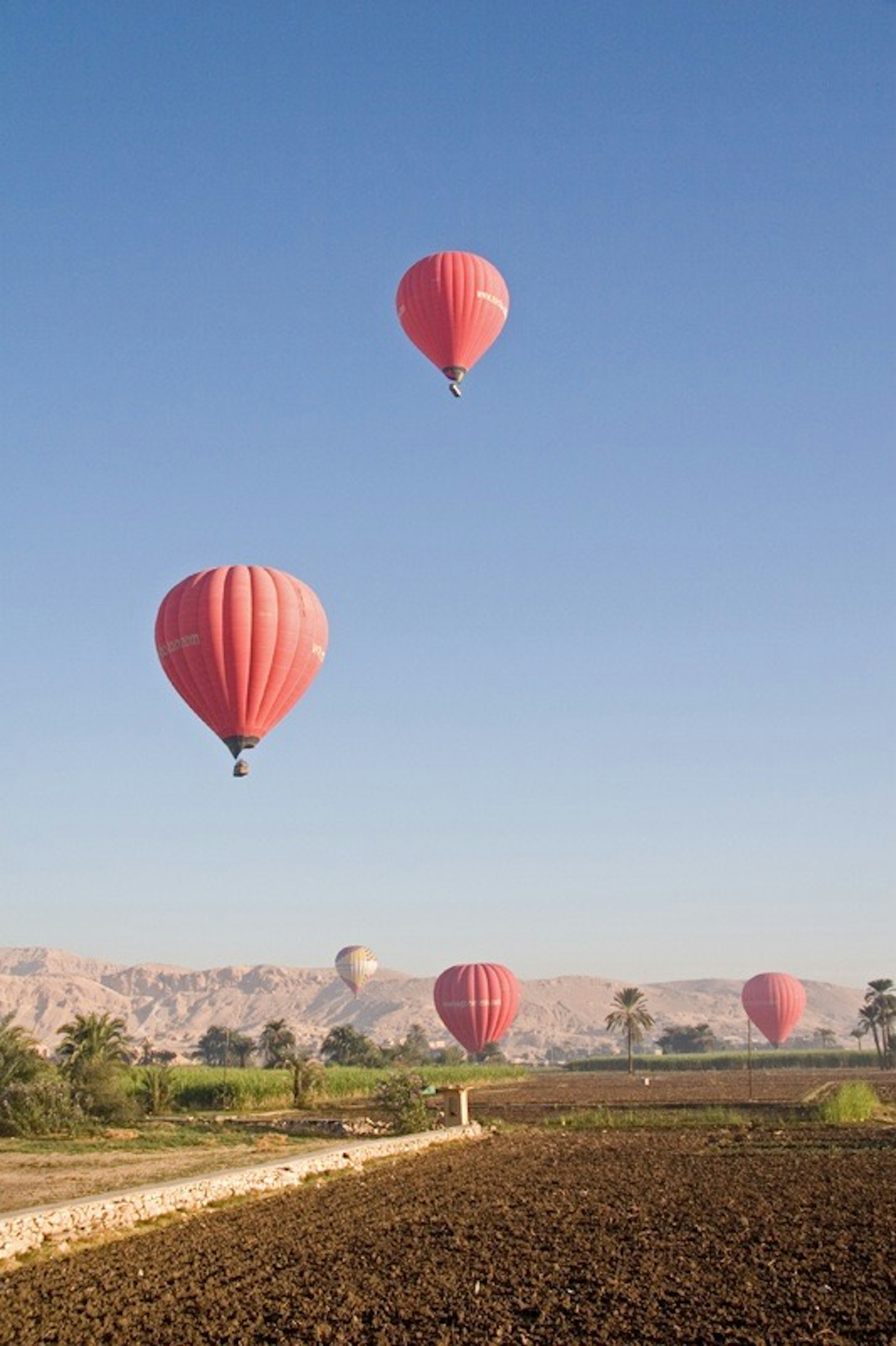 Globos aerostáticos rojos flotando en un cielo azul claro sobre un paisaje