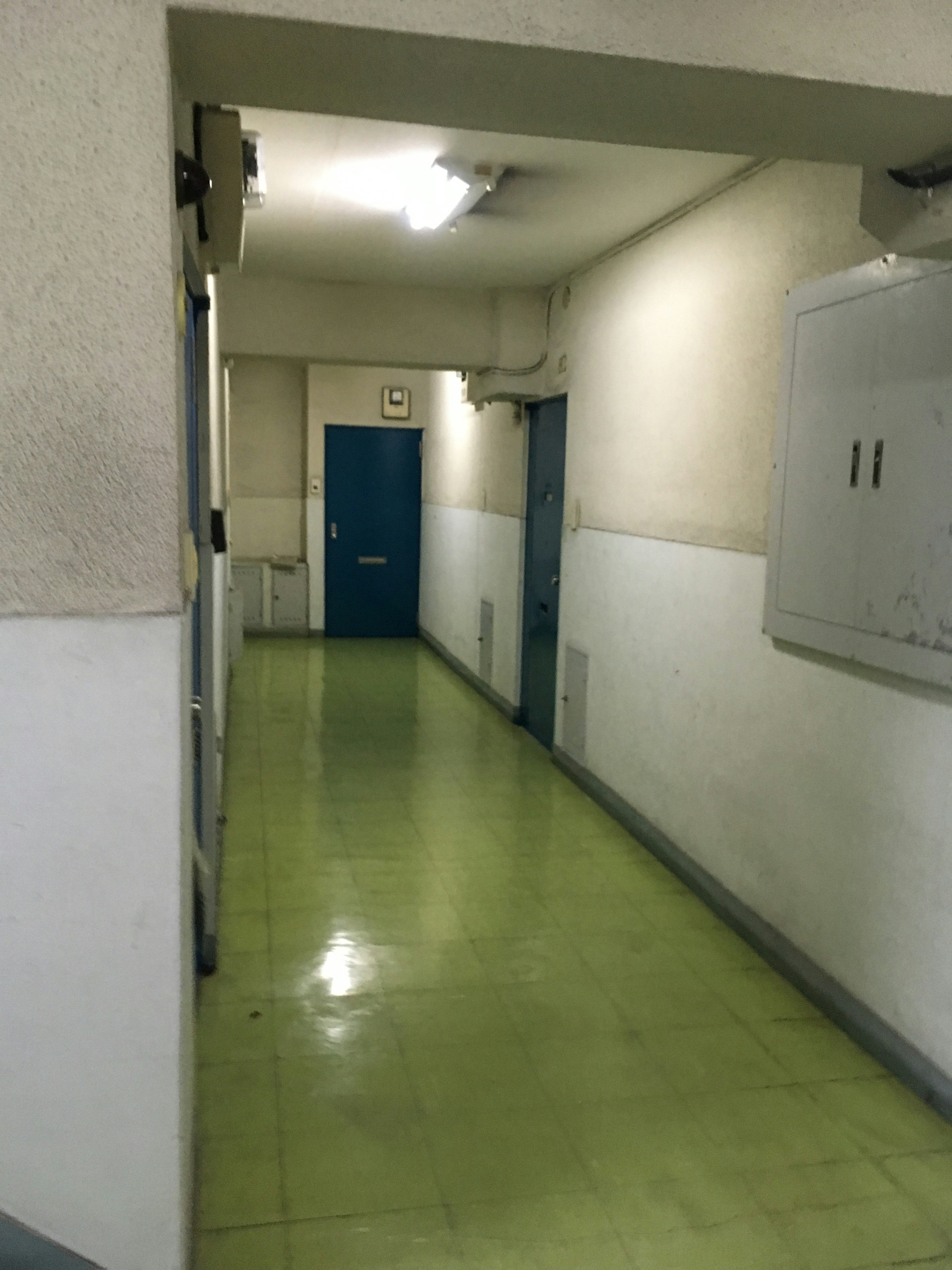 Long corridor with green floor blue door visible on the wall simple white walls and ceiling