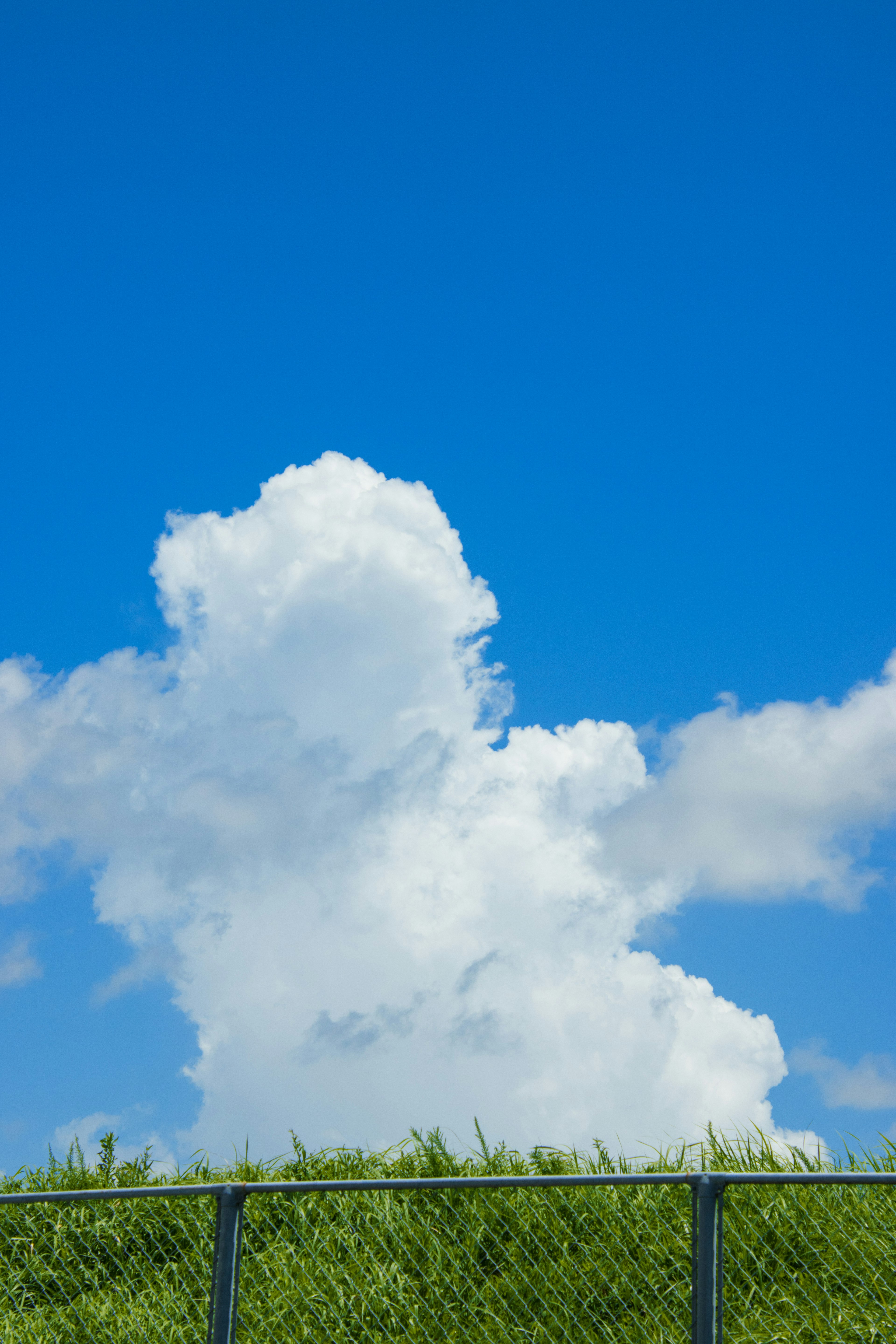 Awan putih besar di langit biru dengan rumput hijau di bawahnya