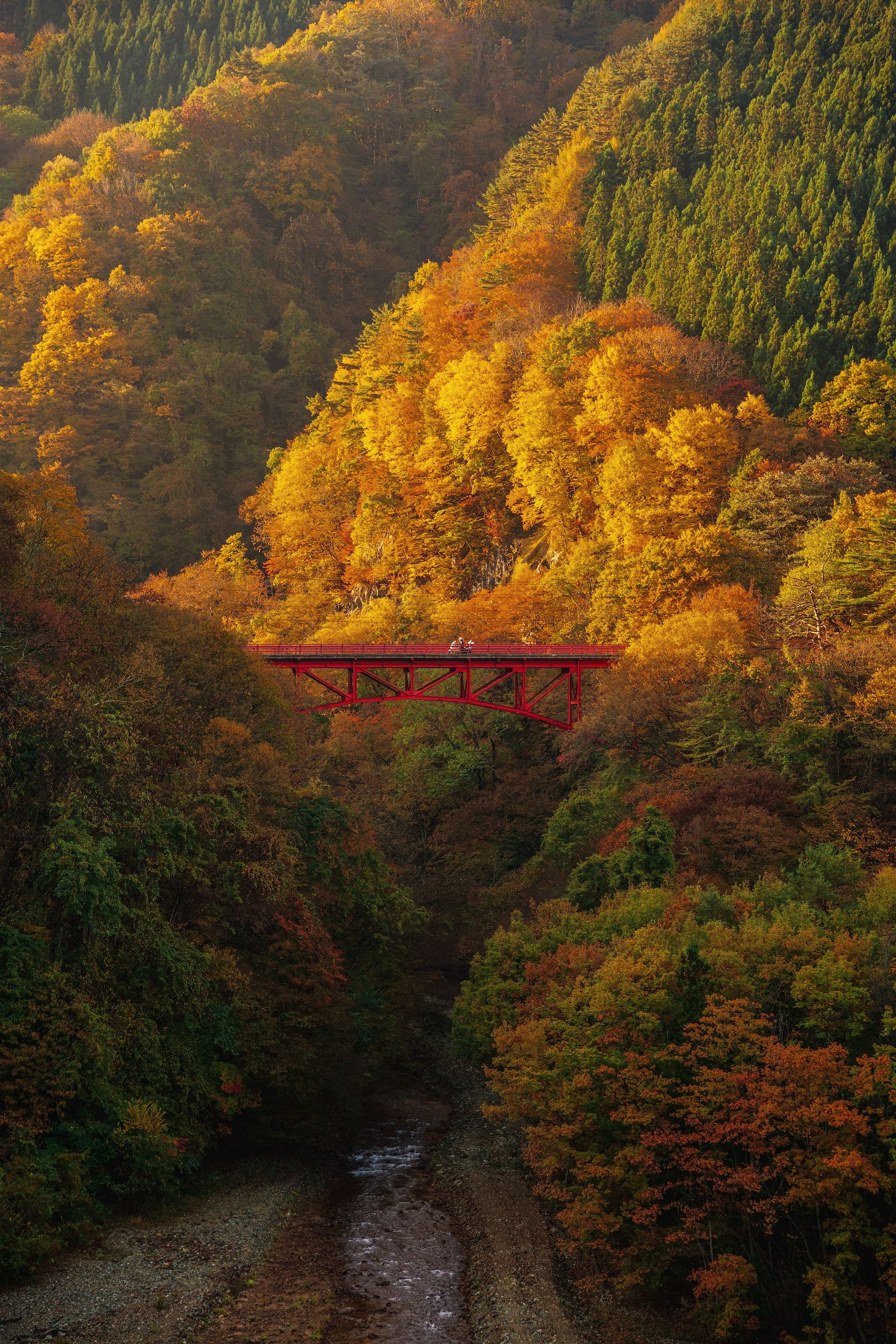 秋の色に彩られた山々と赤い橋が印象的な風景