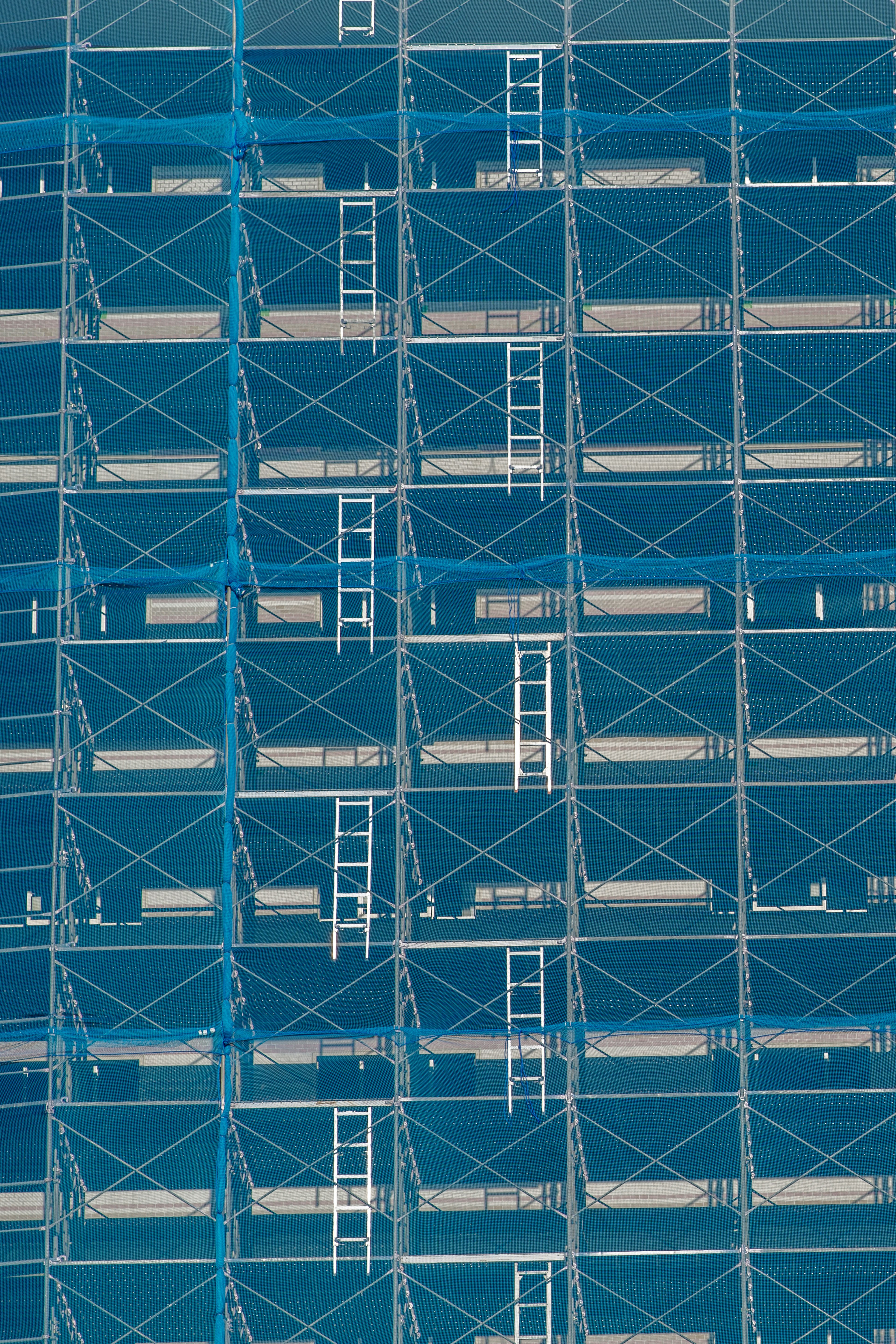 Pattern of white ladders on blue scaffolding