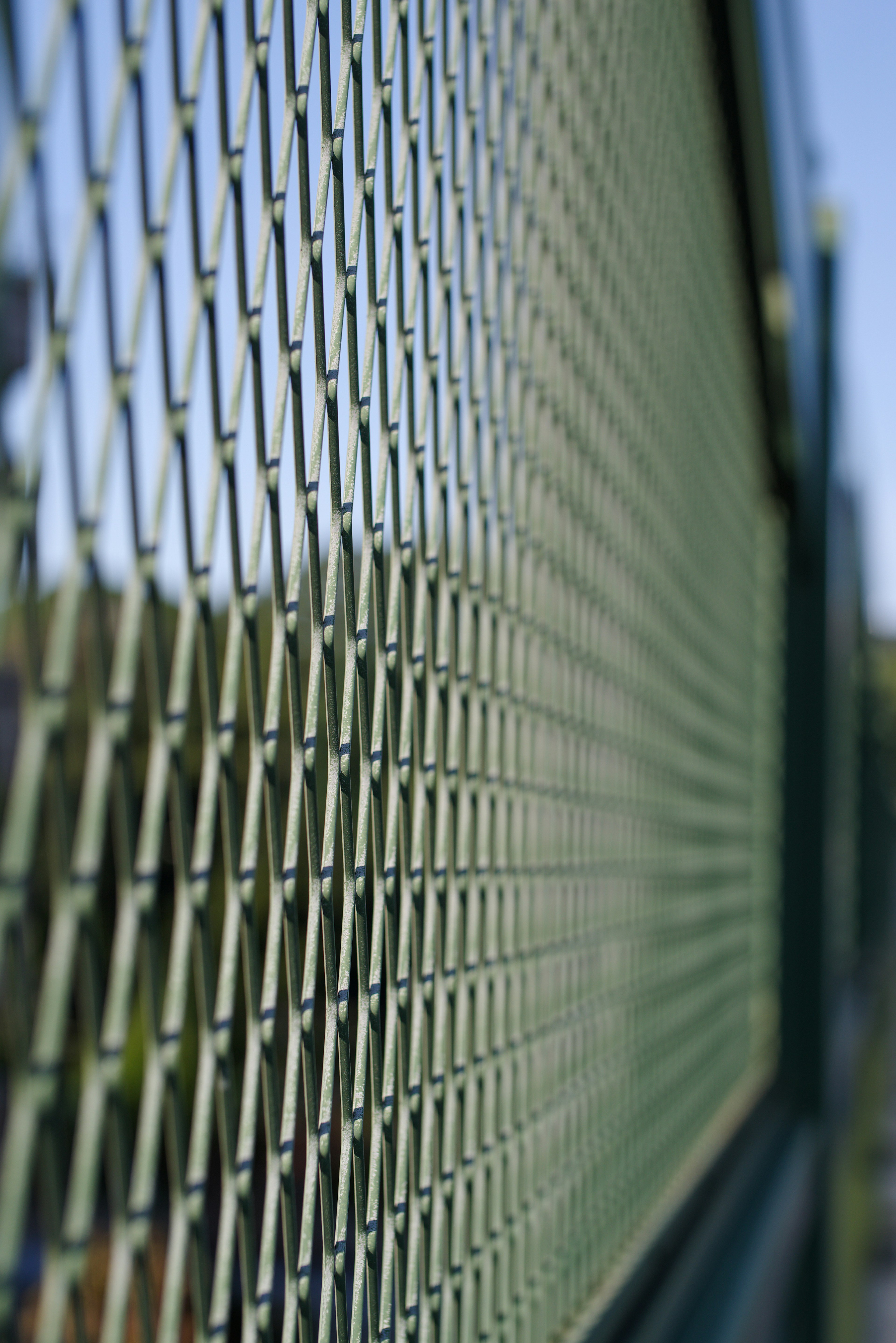 Close-up of a green wire mesh fence with a blue sky background