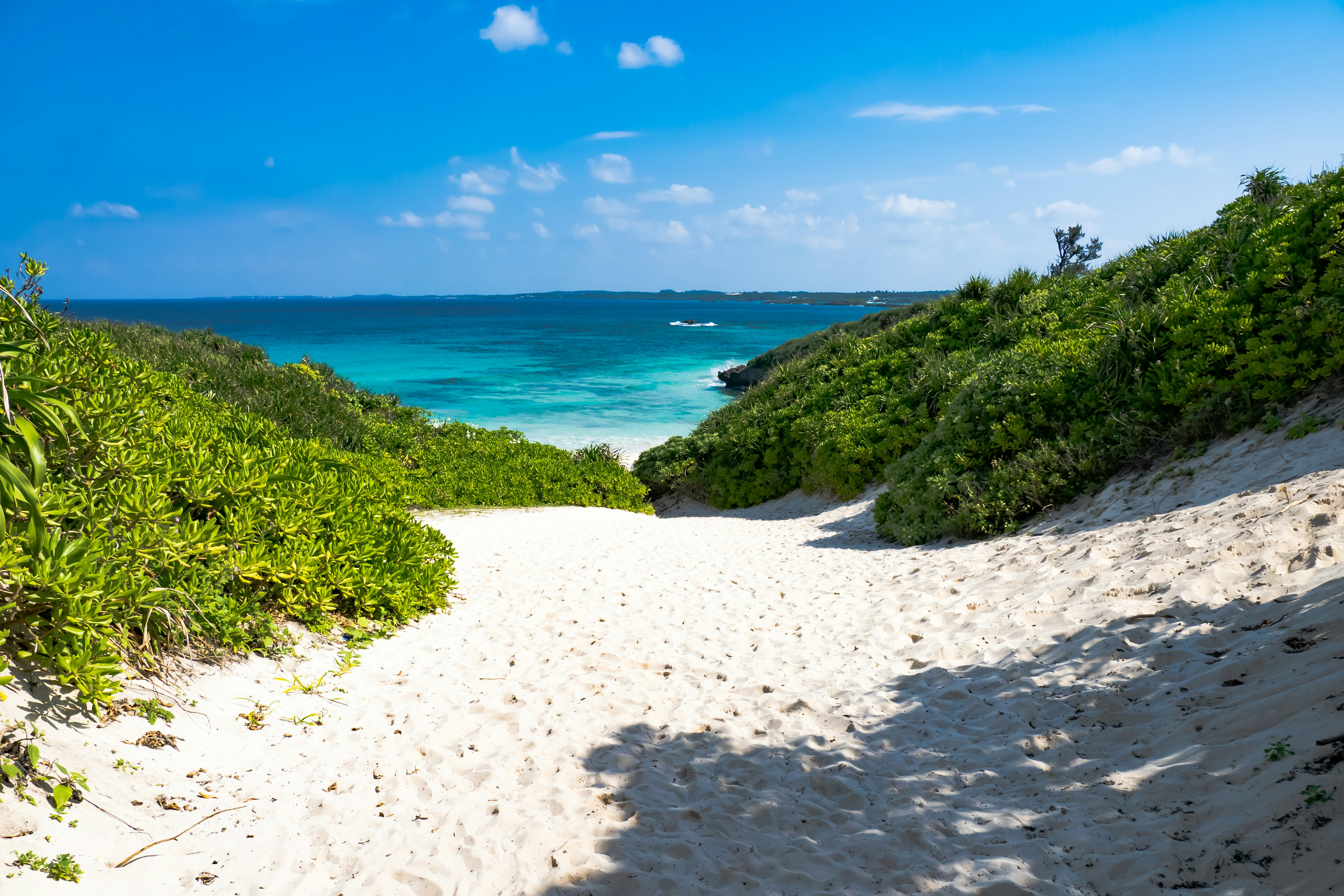 Paesaggio naturale con oceano blu e spiaggia di sabbia bianca