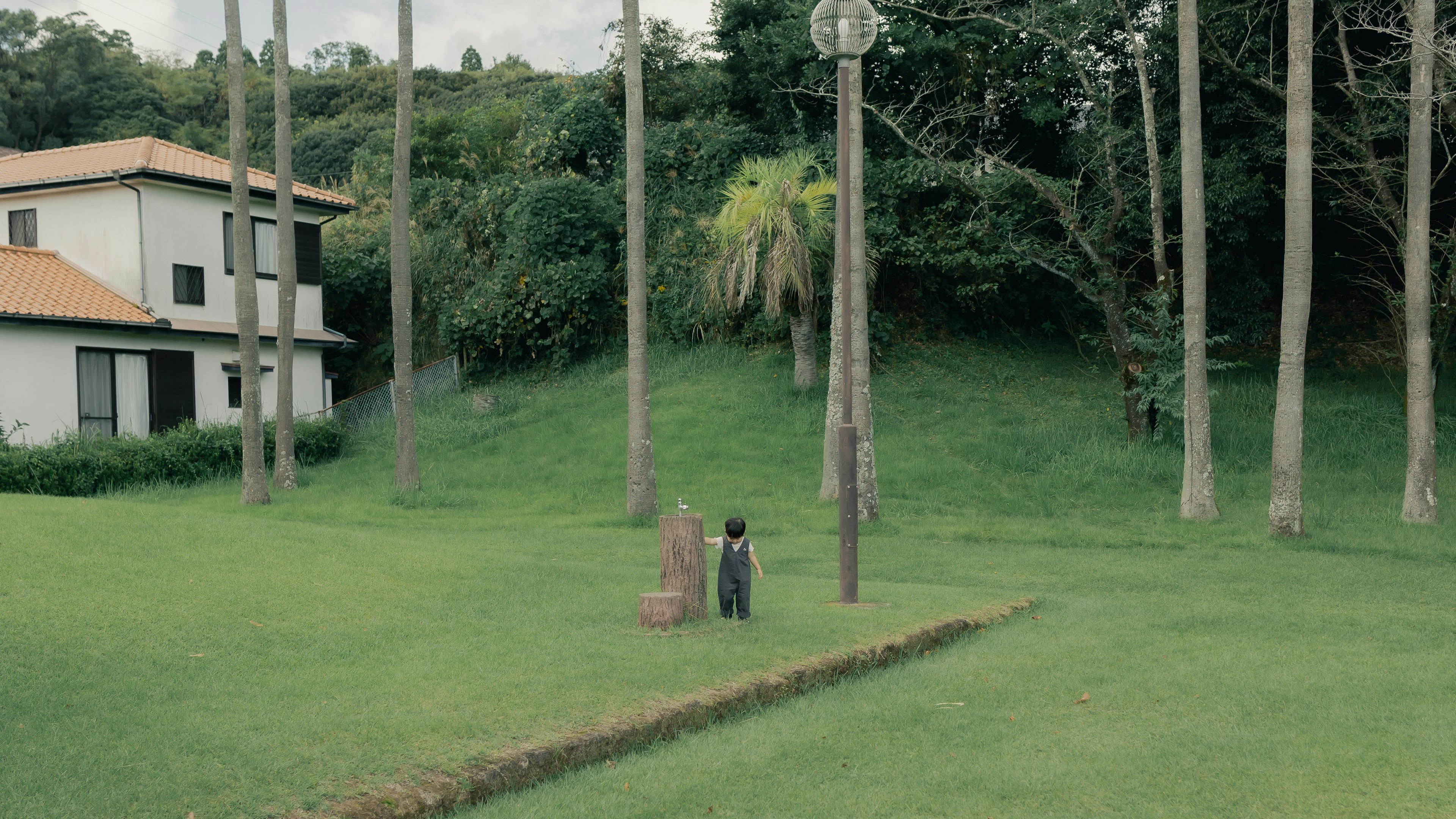 Two children standing in a lush green landscape near a house