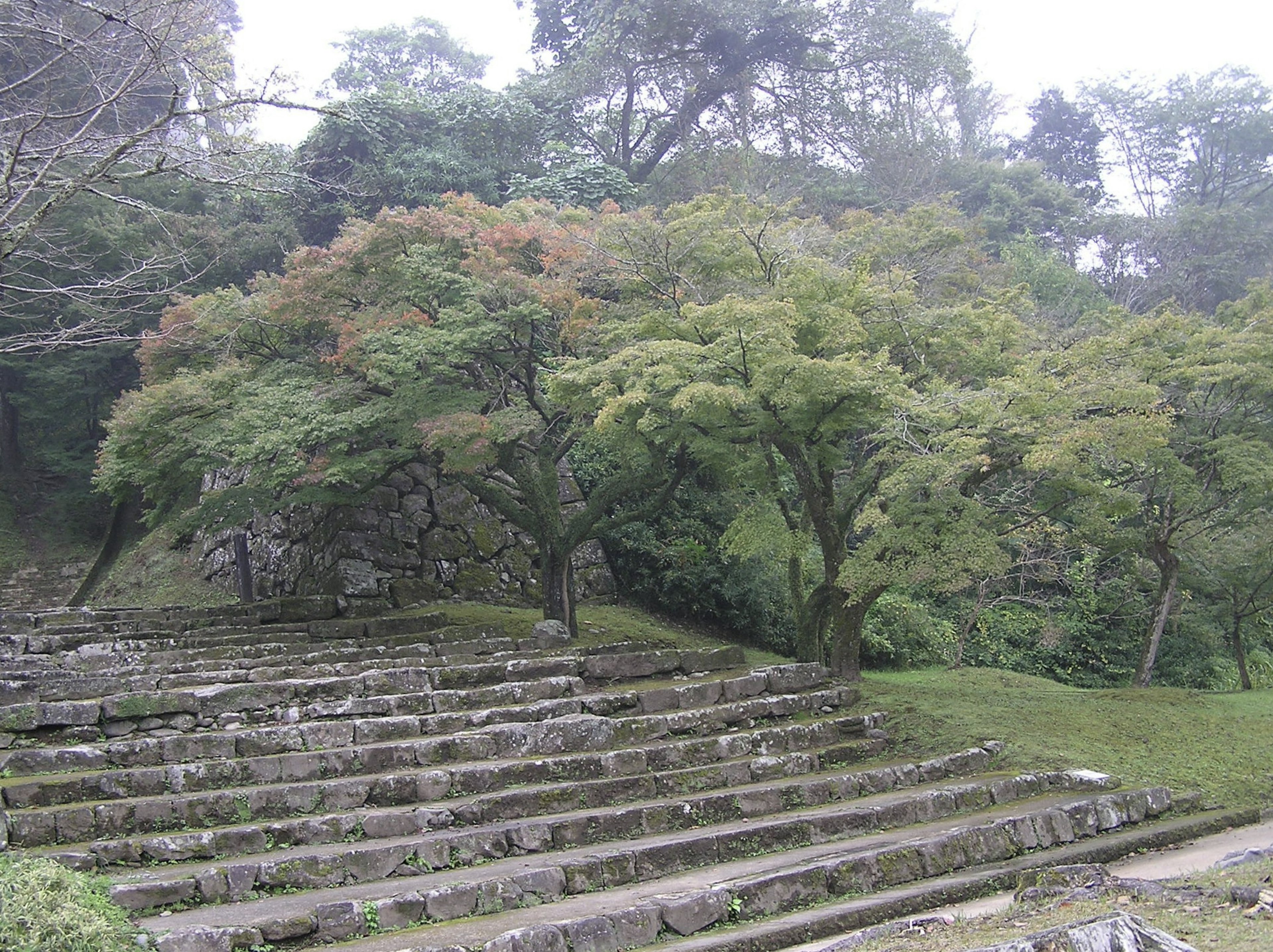 Jardin en terrasses de pierre avec une verdure luxuriante et des arbres