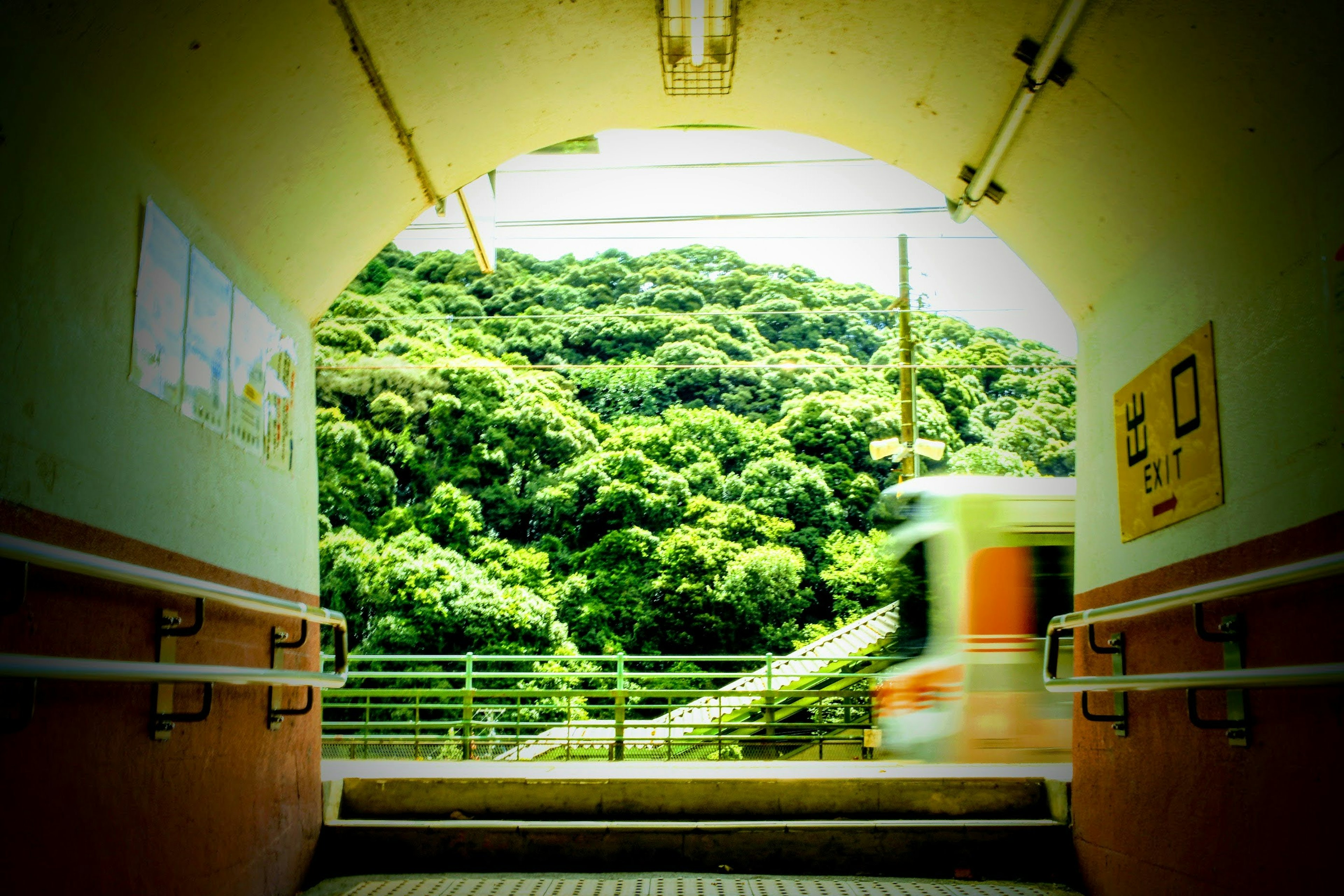 Blick auf üppiges Grün durch den Ausgang eines Tunnels mit einem vorbeifahrenden Zug