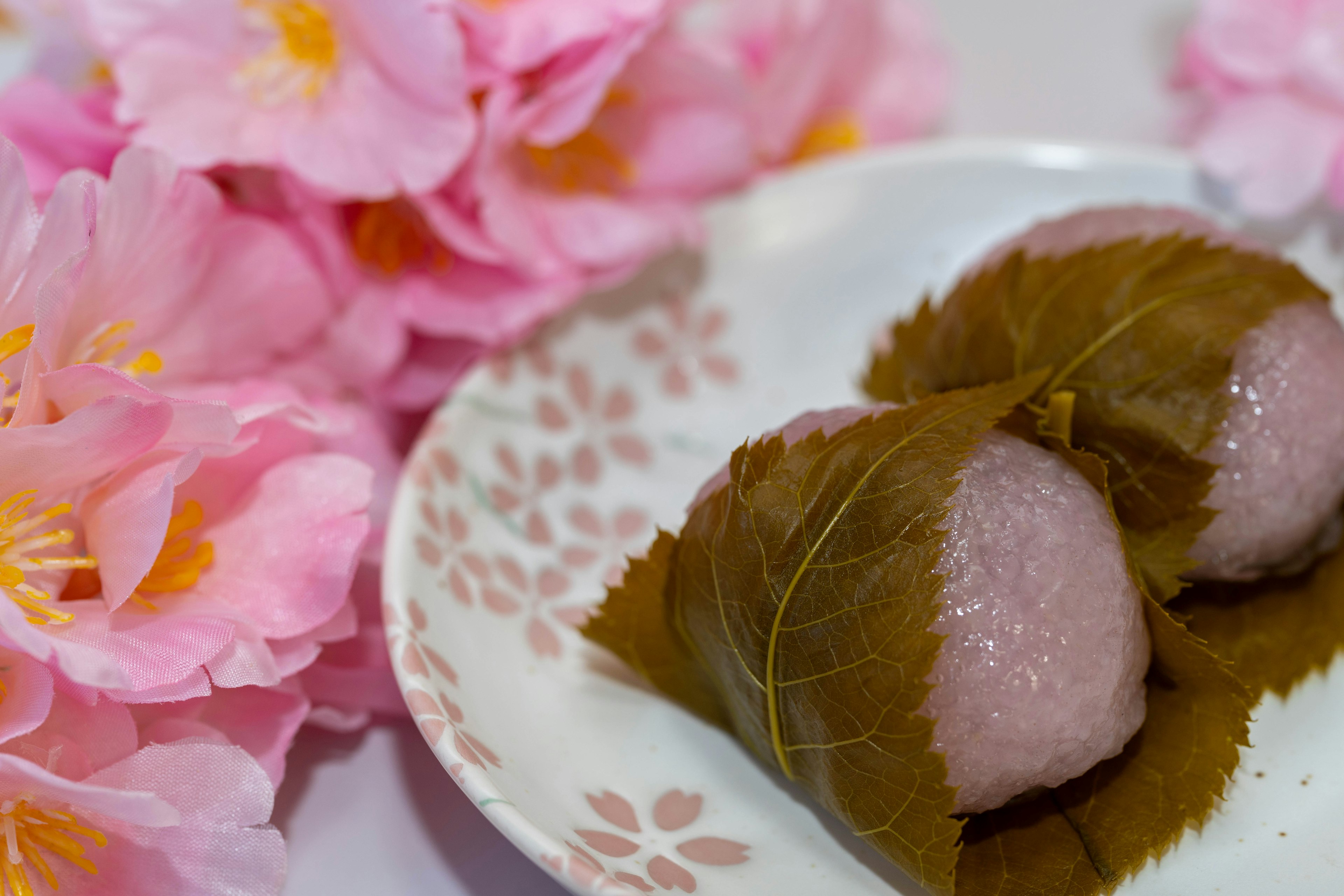 A plate of sakura mochi next to pink cherry blossoms