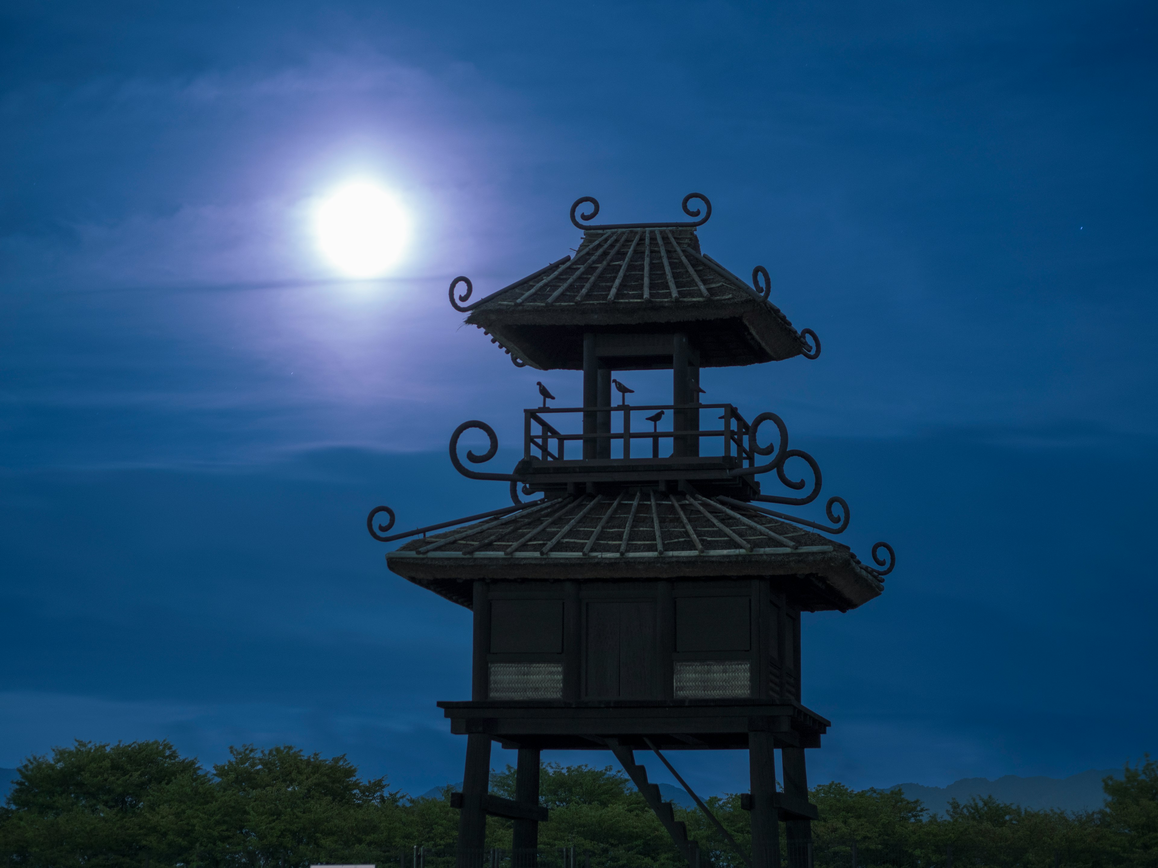 Hermosa torre de estilo oriental bajo la luz de la luna