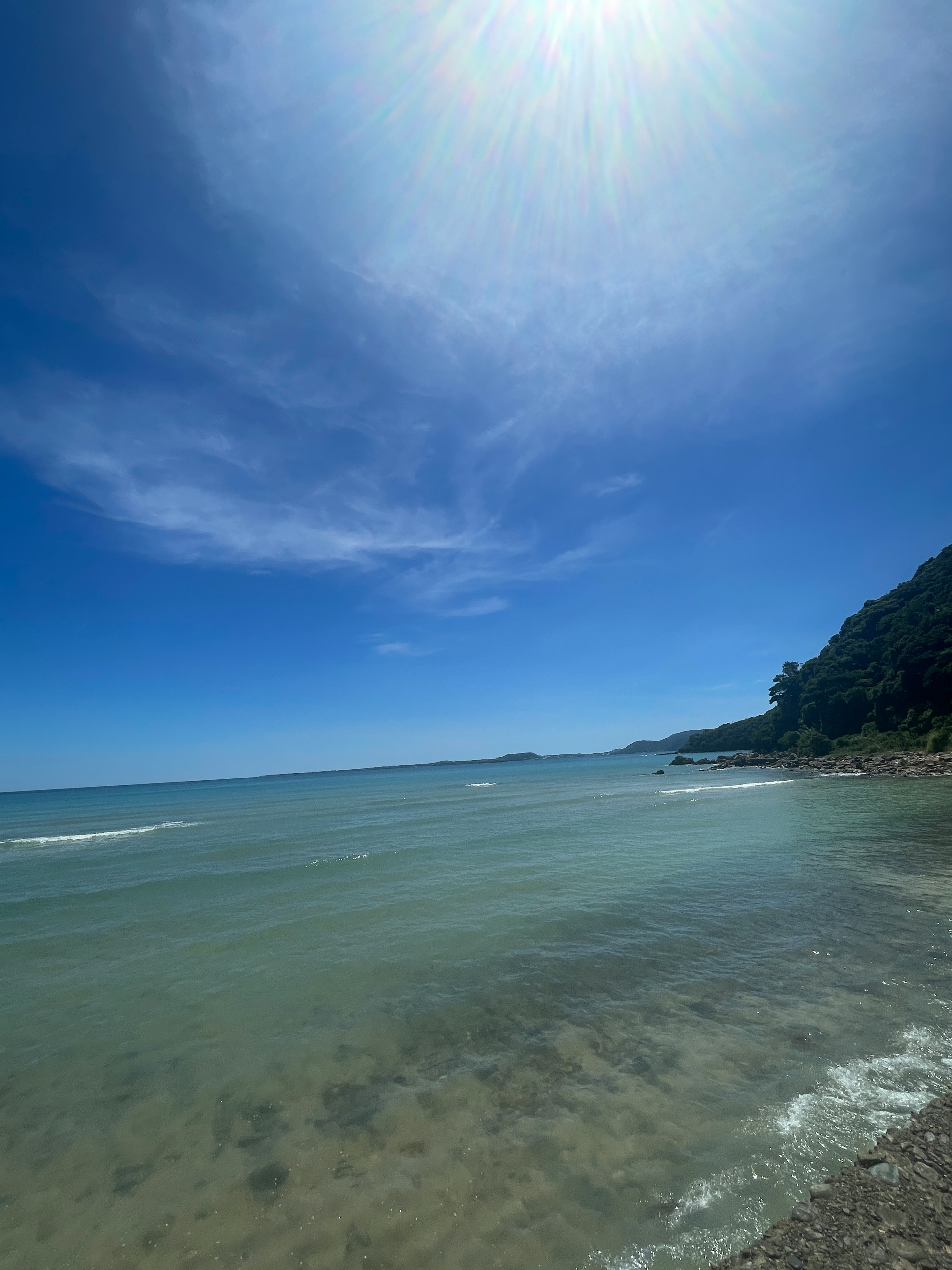 Scenic view of blue sea and sky with rocky beach and green trees