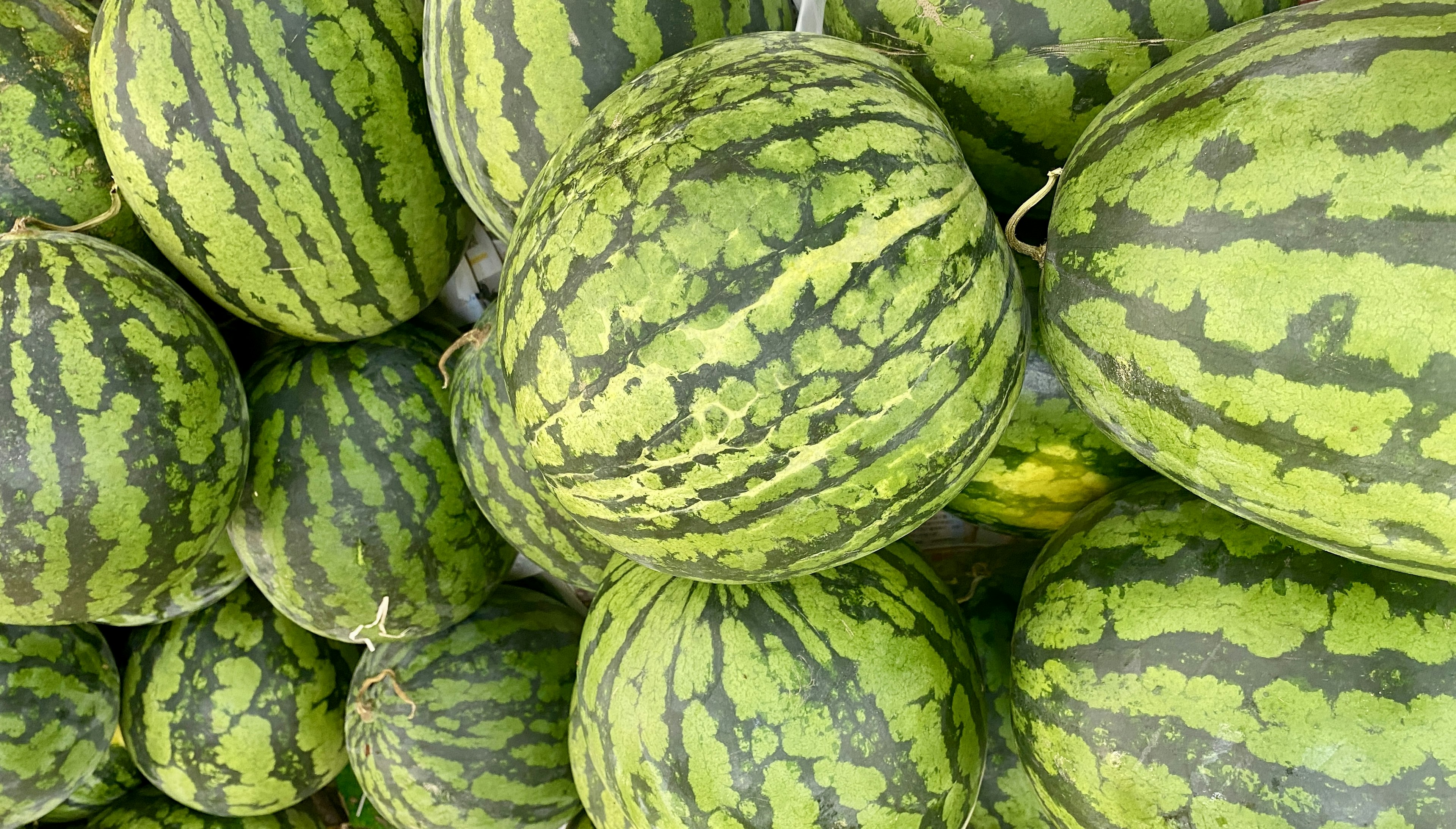 Ein Haufen Wassermelonen mit grünen Streifenmustern