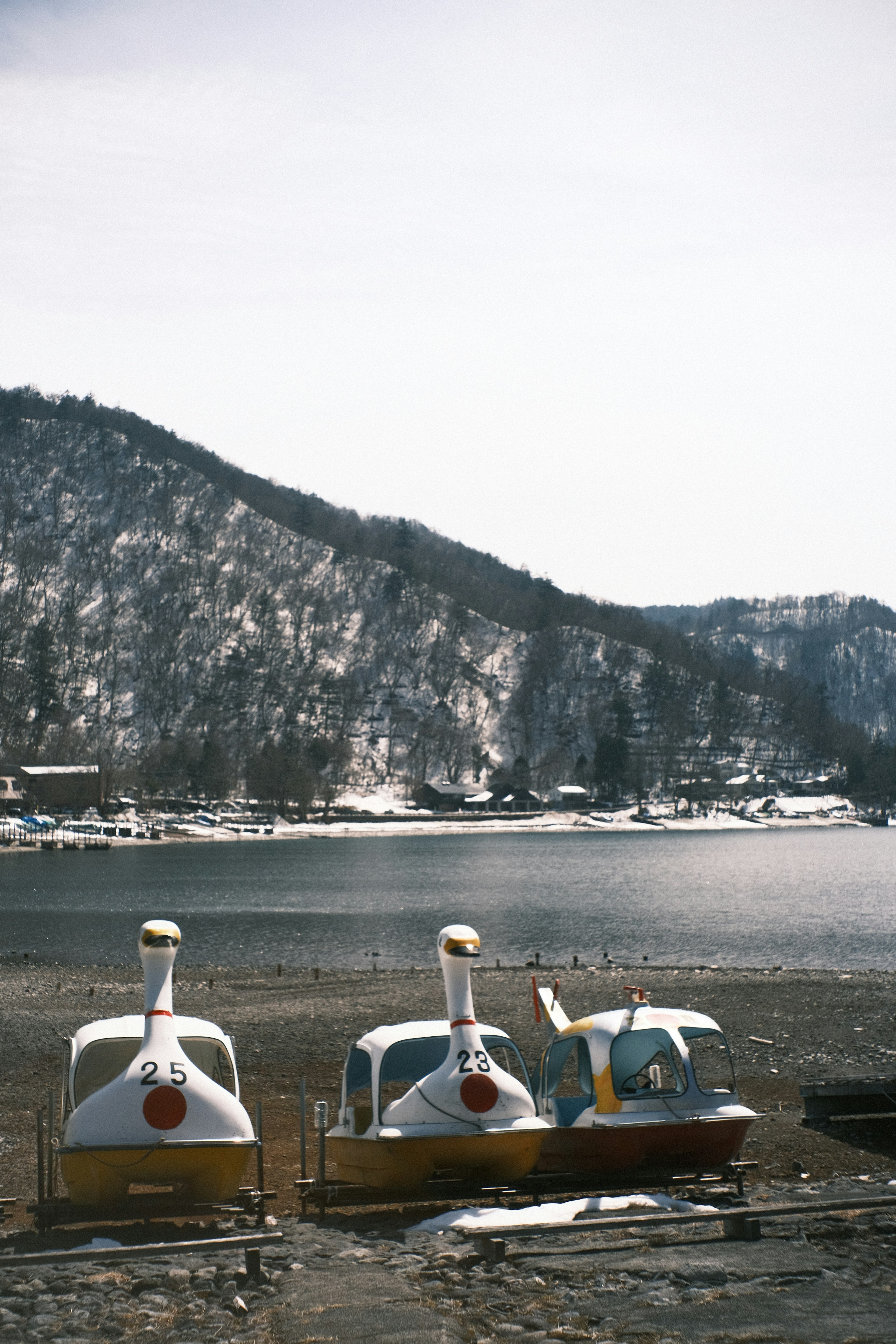 Botes cisne coloridos estacionados junto a un lago con montañas nevadas al fondo