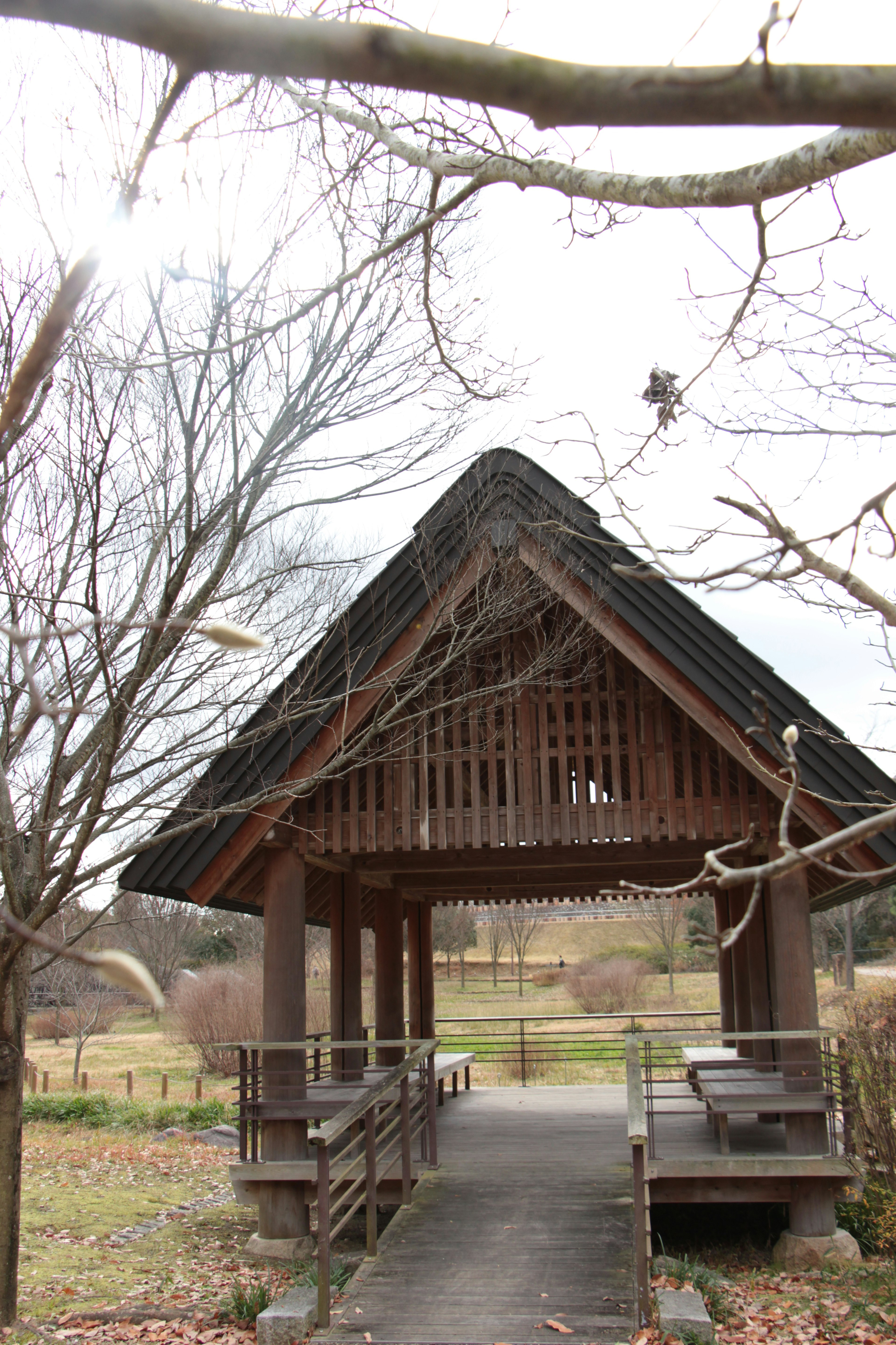 Wooden pavilion with a thatched roof surrounded by nature