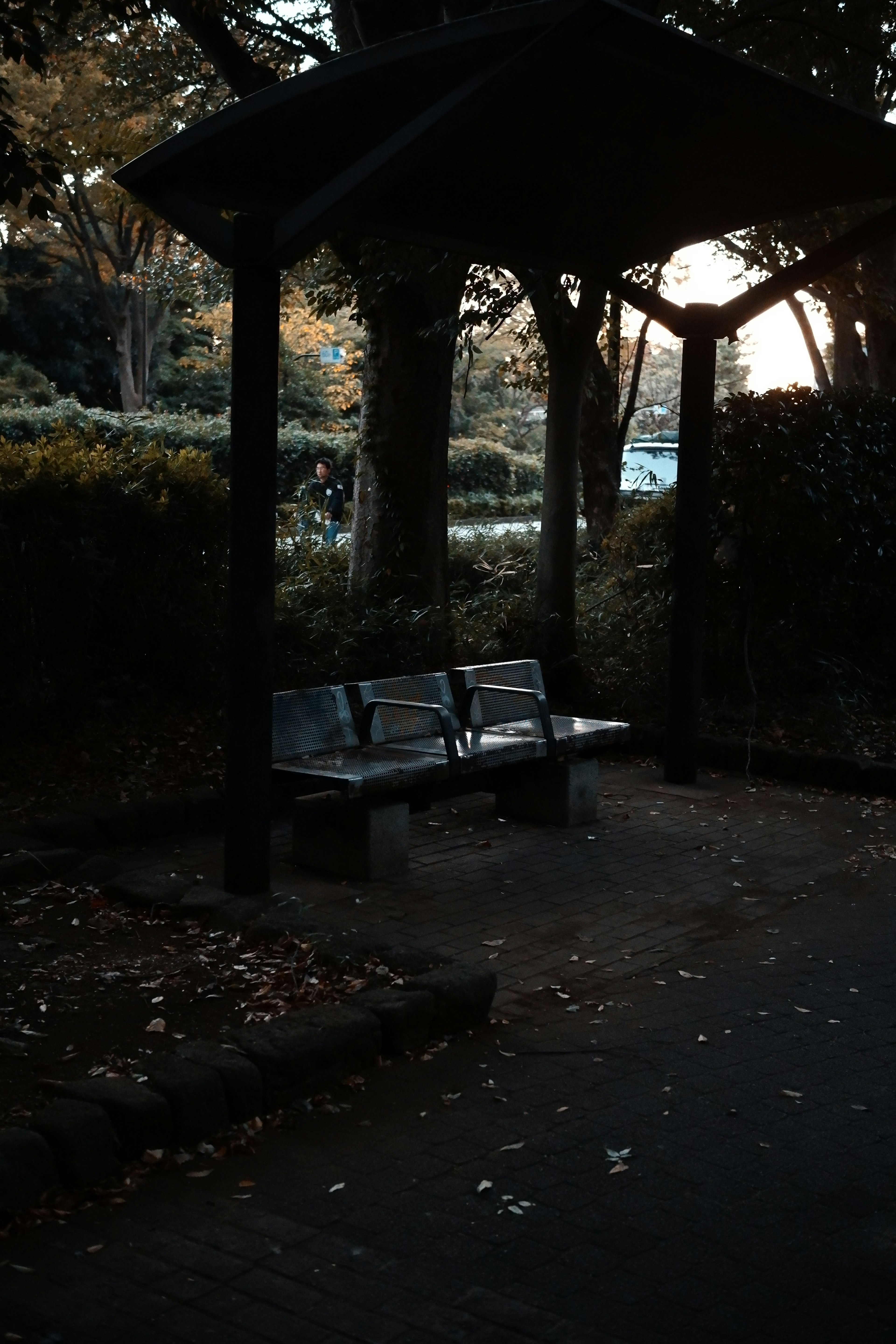 寧靜的公園長椅在樹木環繞的遮陽棚下