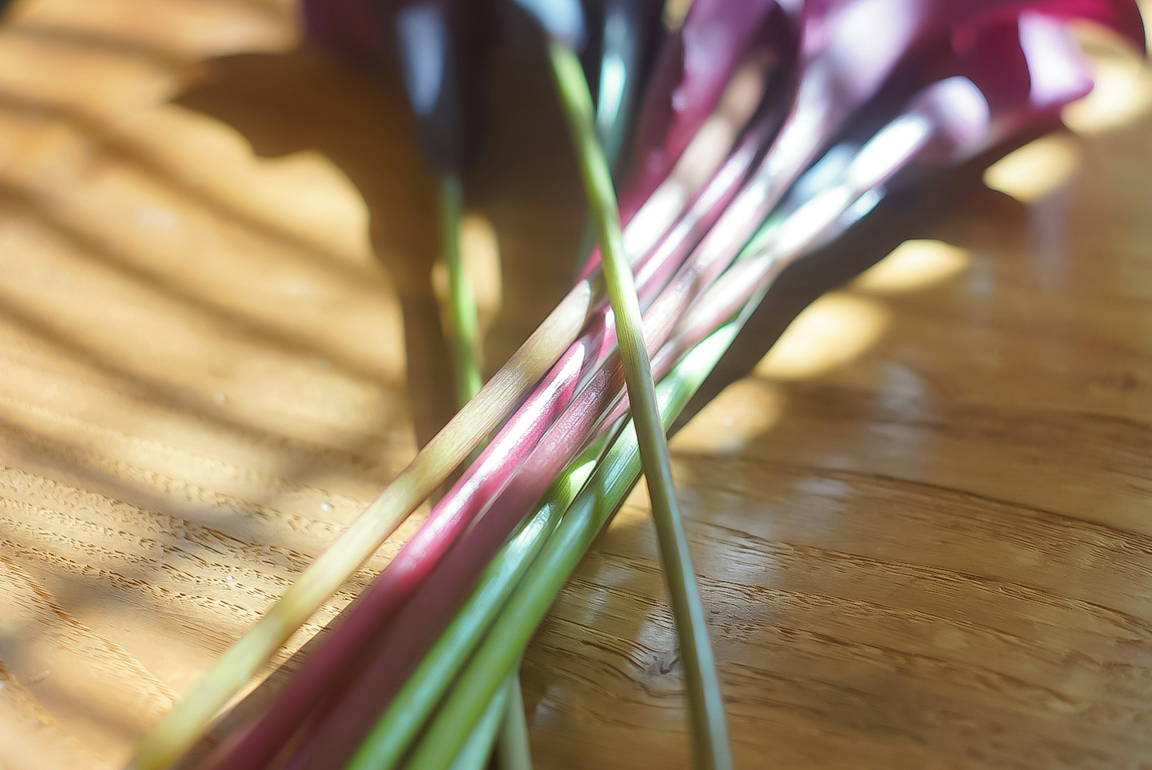 Tiges de fleurs violettes et vertes sur une table en bois avec des ombres lumineuses