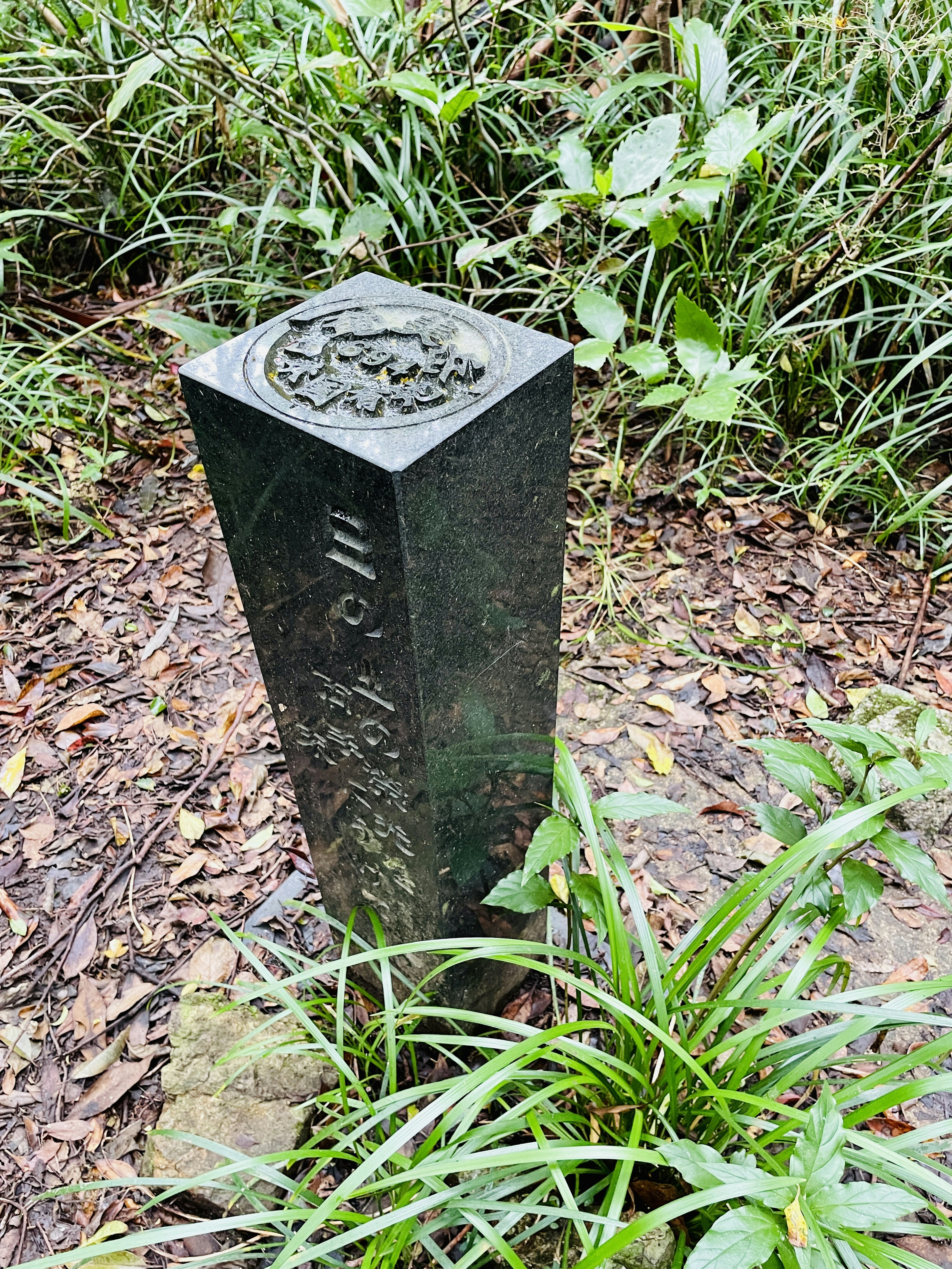 Alto monumento de piedra rodeado de hierba verde con parte superior decorativa