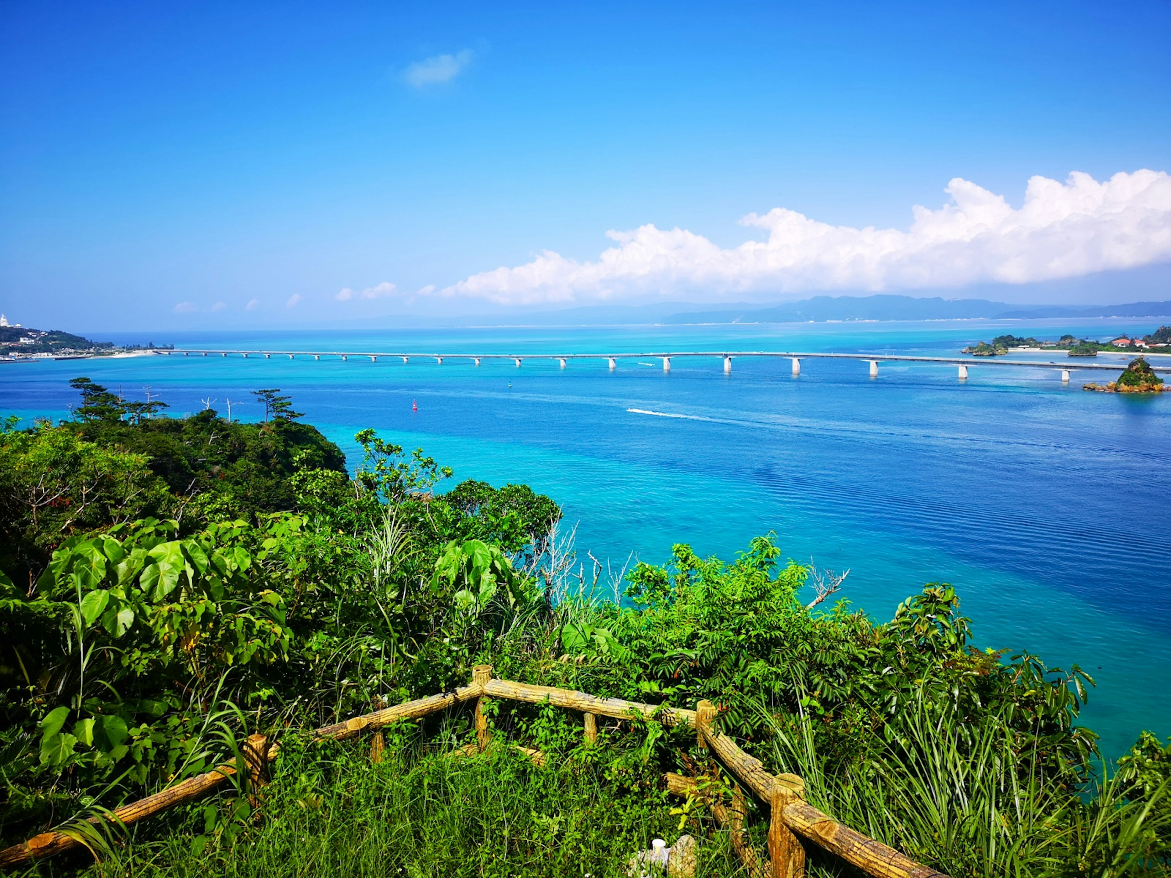 Schöne Aussicht auf das blaue Meer und den Himmel mit sichtbarer Brücke umgeben von üppigem Grün